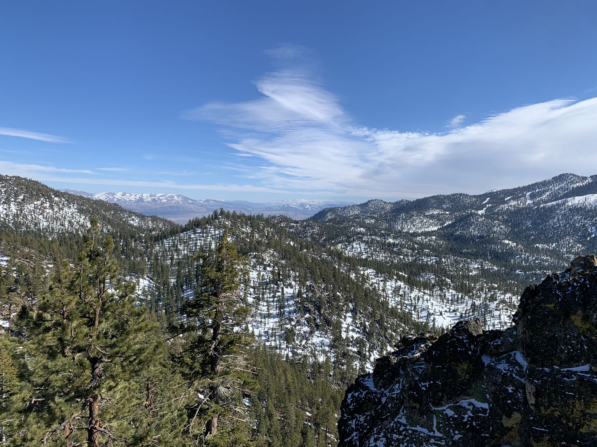Panoramic view of snow-dusted mountains and pine forests under a bright blue sky. - Castle Rock Loop Trail