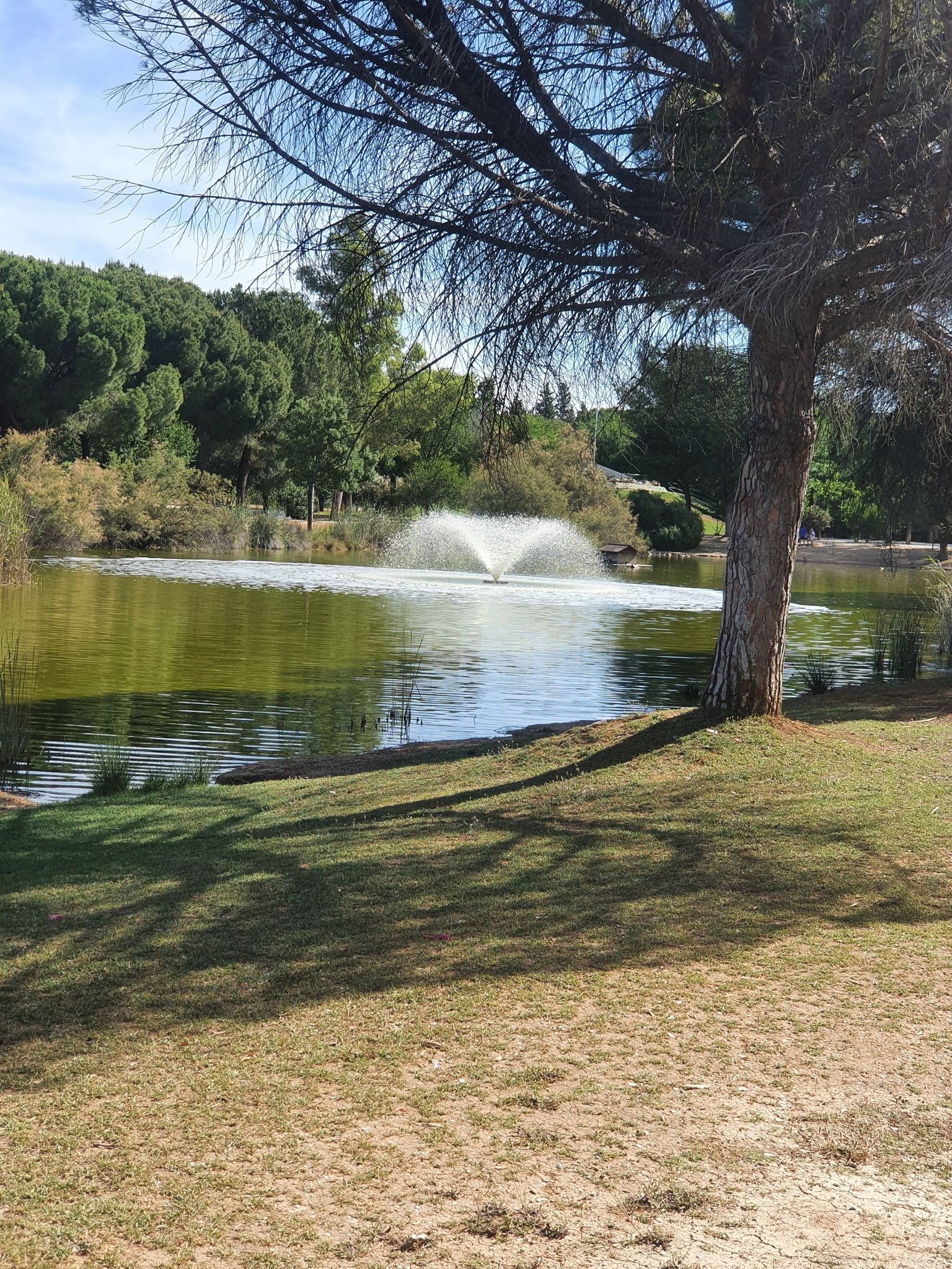 Fuente 2 sobre lago en Parque Los Pitufos