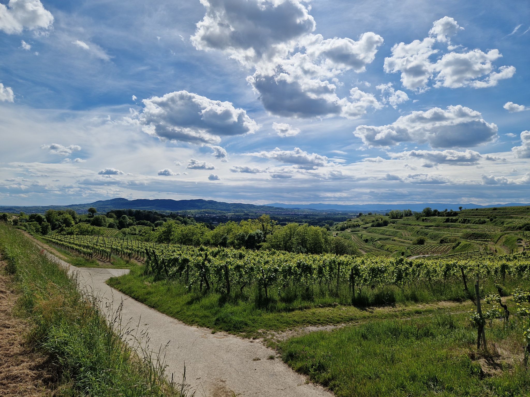 Wahnsinnsblick
