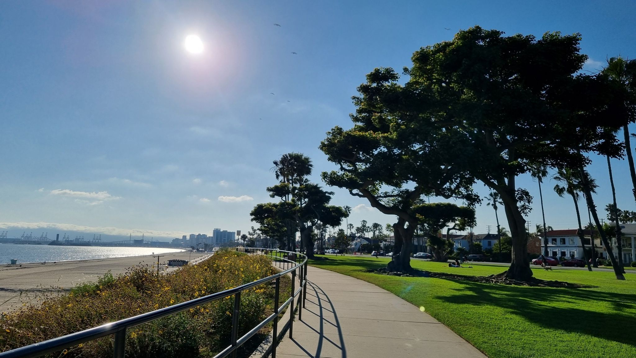 Sunny paved path next to a beach, large trees, and distant city. - Long Beach City Beach – Beautiful Beach Bike Path loop from Long Beach Convention & Entertainment Center