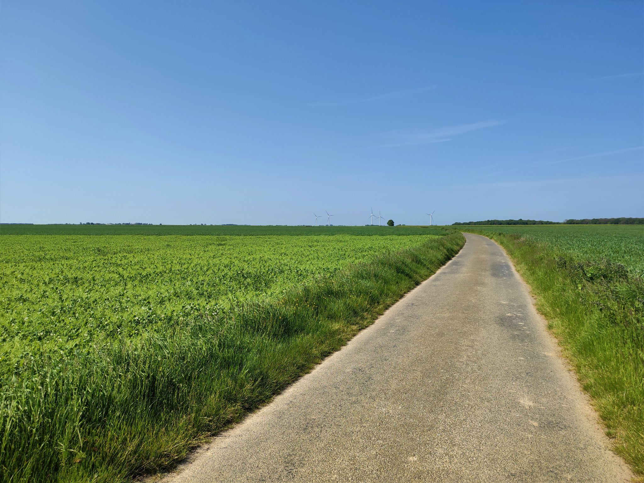 Voir la topo , plat du 20->42 kms