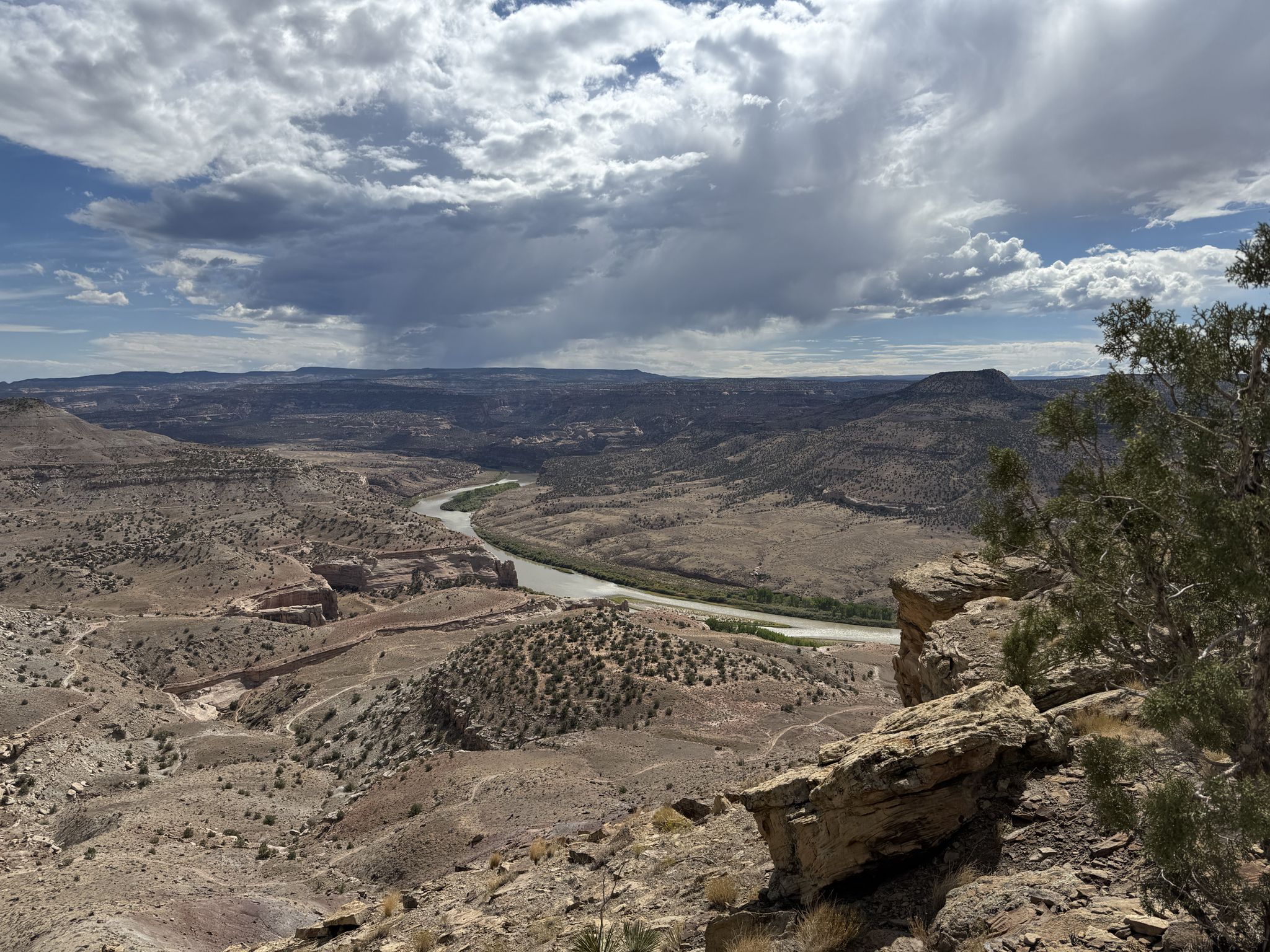 Vast desert canyon landscape with a winding river under a cloudy sky. - Mack Ridge and Lion's Loop