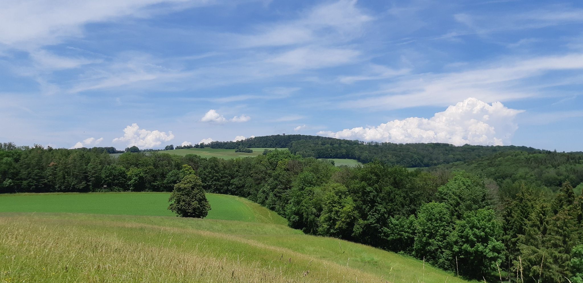 blick richtung cheisacherturm