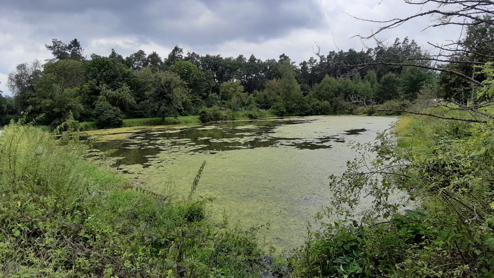 Weiherchen bei Großbellhofen