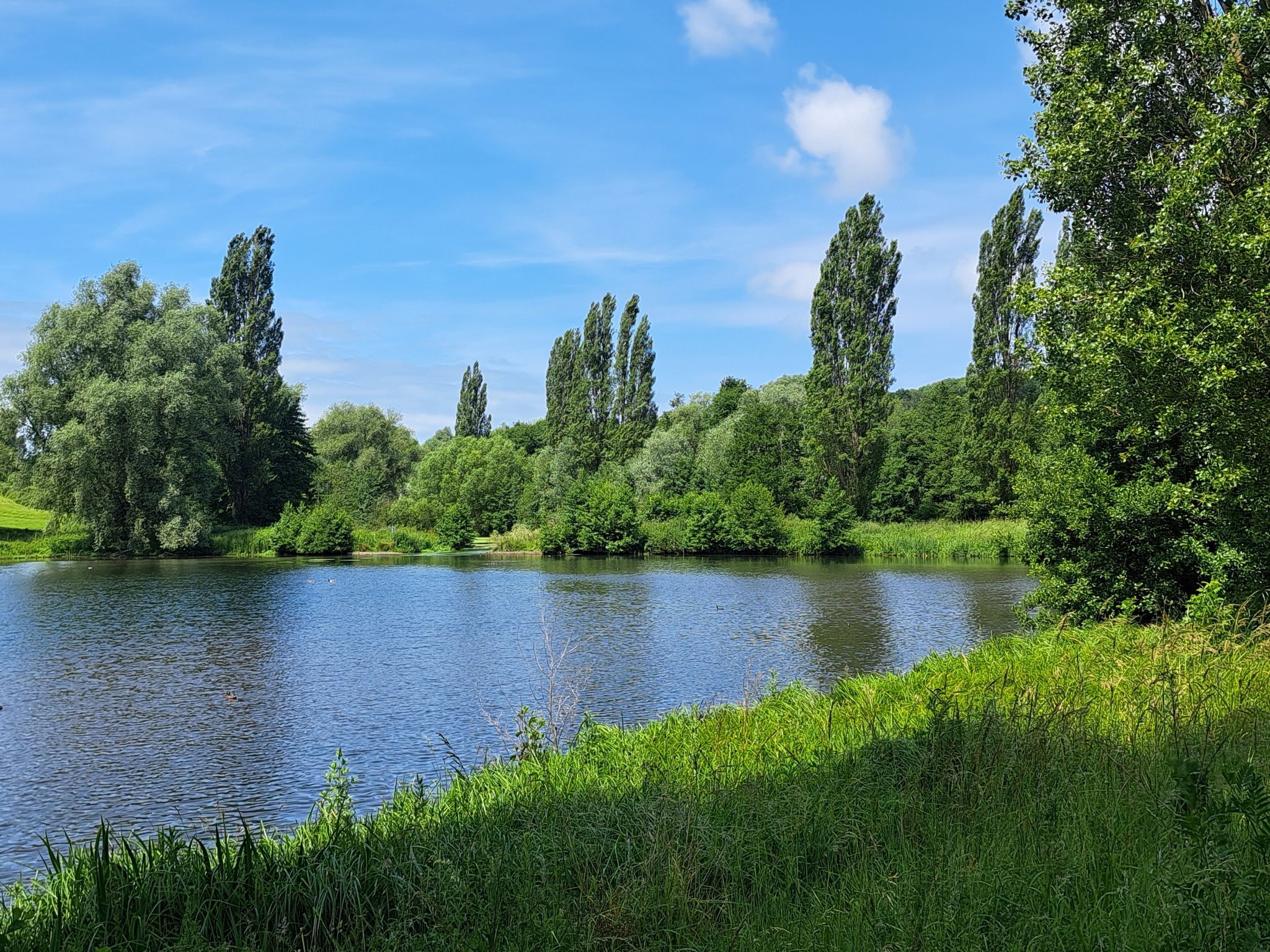 Parc du Rouelles