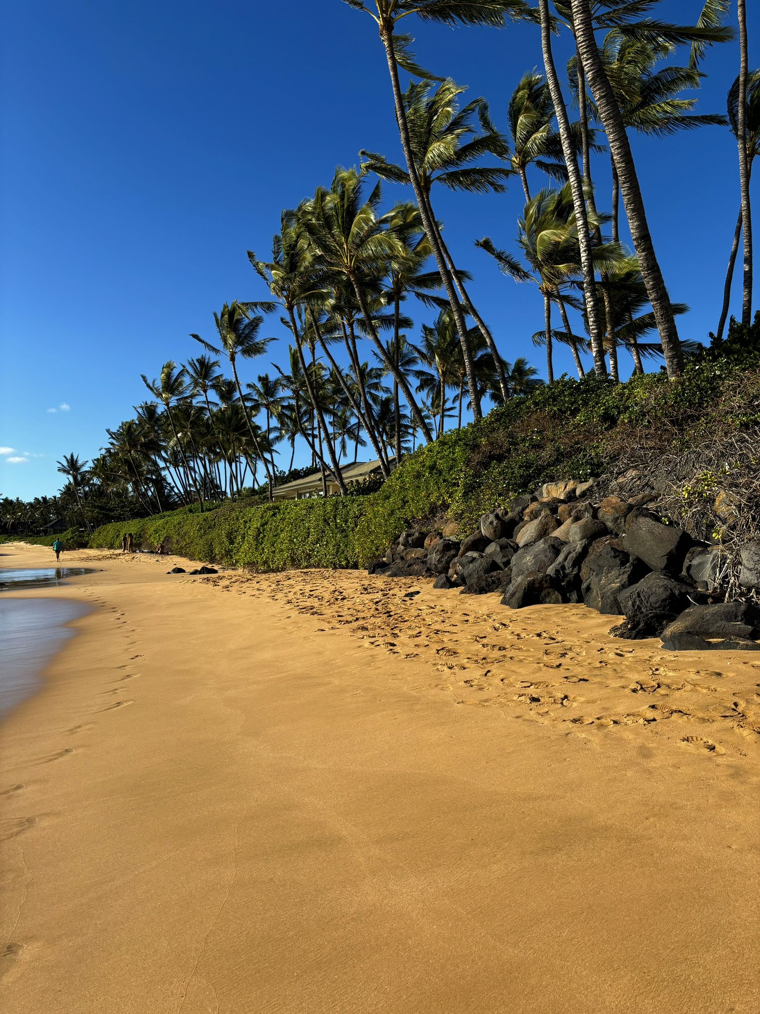 Sunny beach with palm trees lining a rocky embankment and clear blue sky. - Ulua Beach Park to Keawakapu Beach