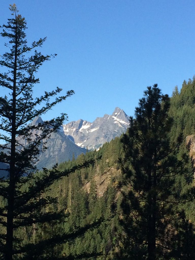 Distant snow-capped mountains framed by dark pine trees in foreground. - Howard Lake via the PCT