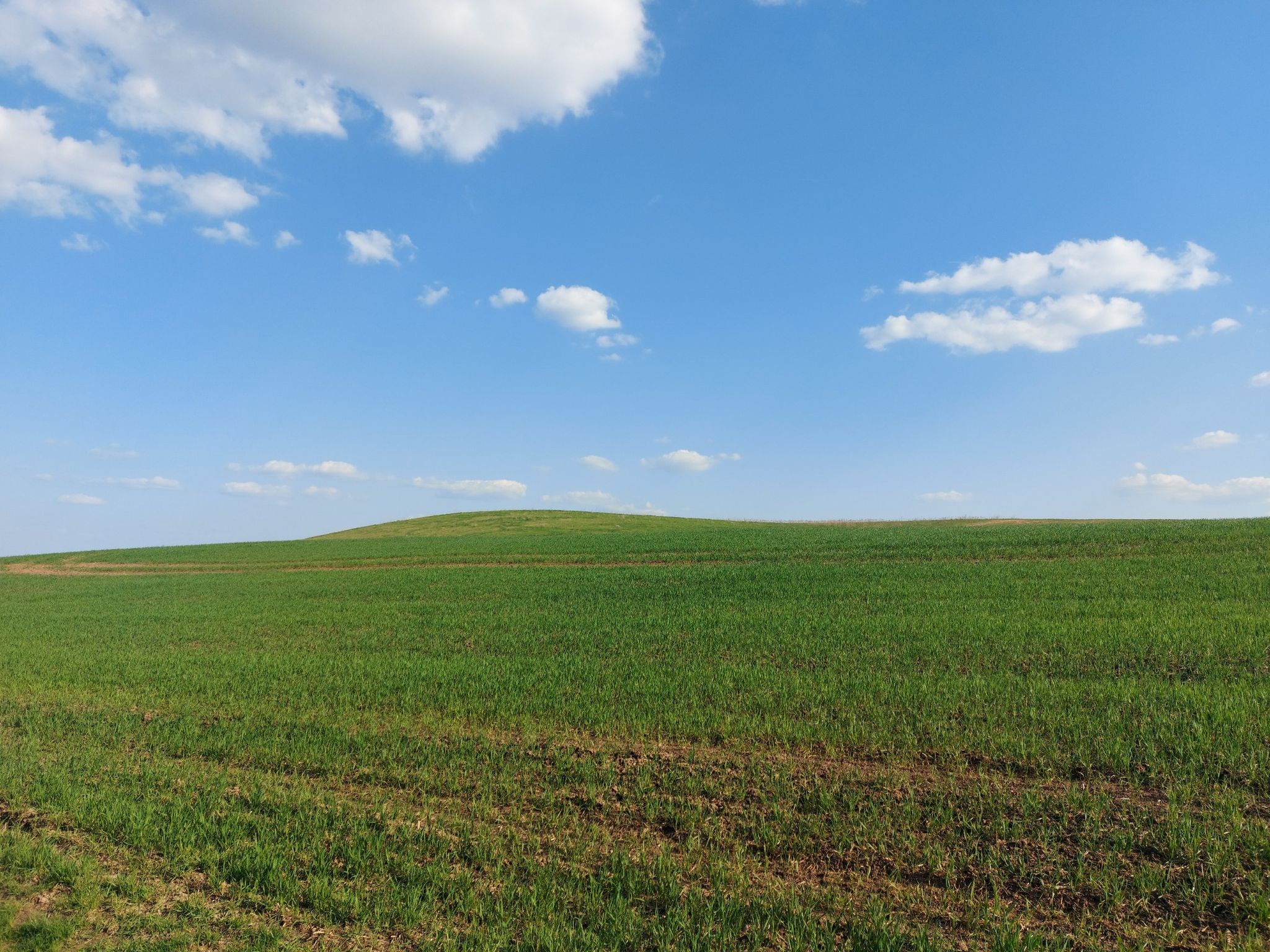 Windows xp
