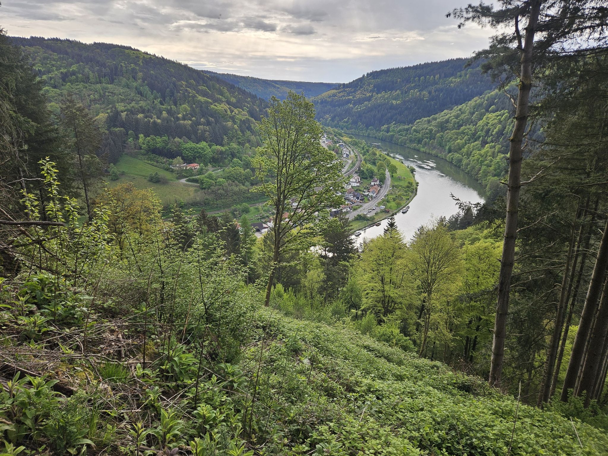 Neckar