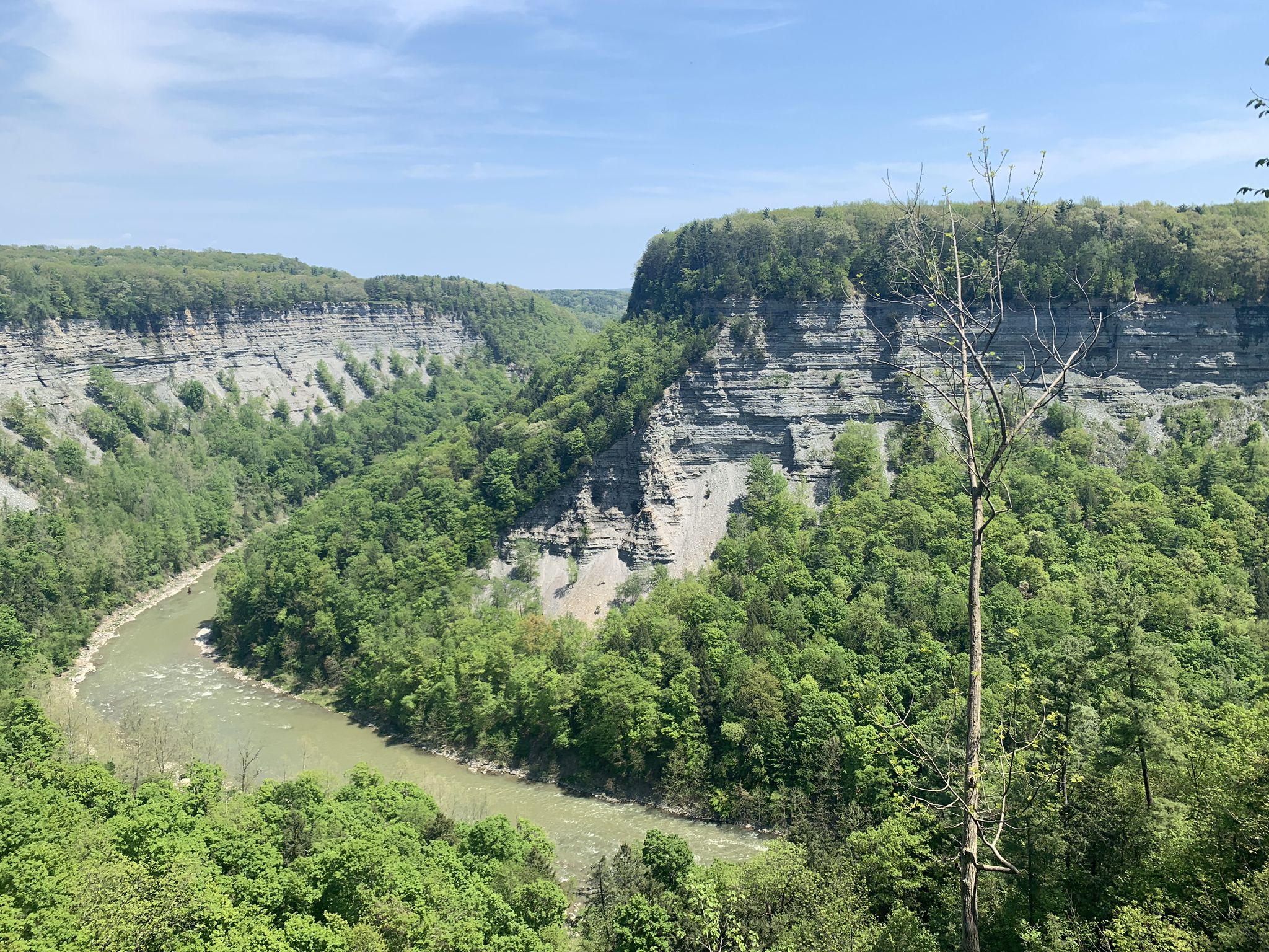 River winding through a deep, rocky gorge with dense green forests. - Williams Overlook – Archery Field Overlook loop from 