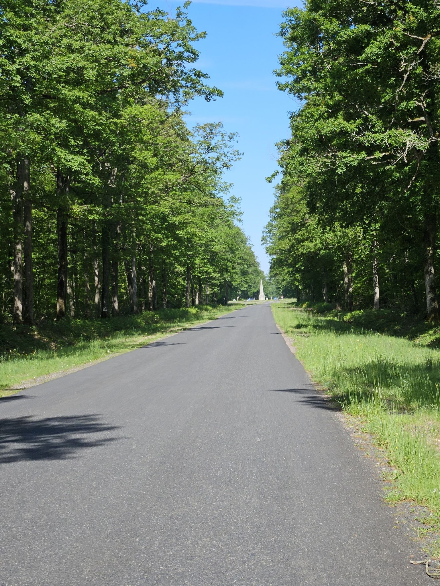 Forêt domaniale de Loches