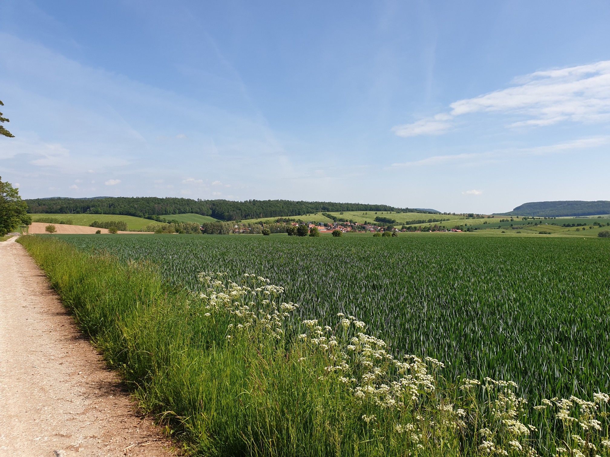 Gerterode