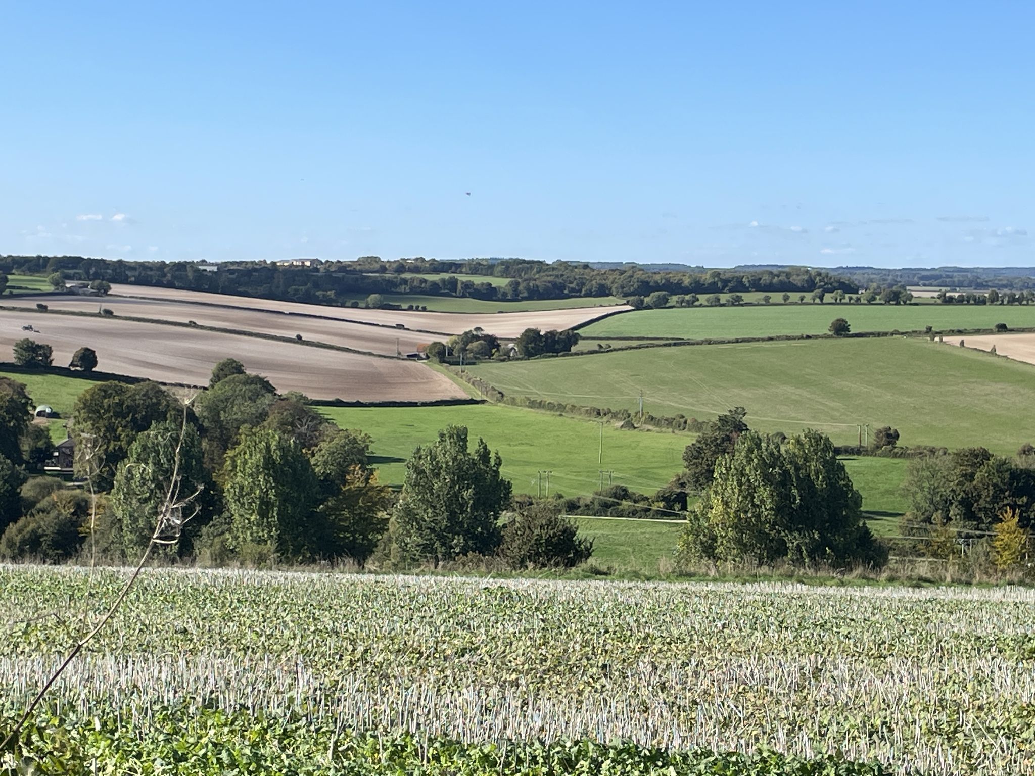 View over the Tarrant valley