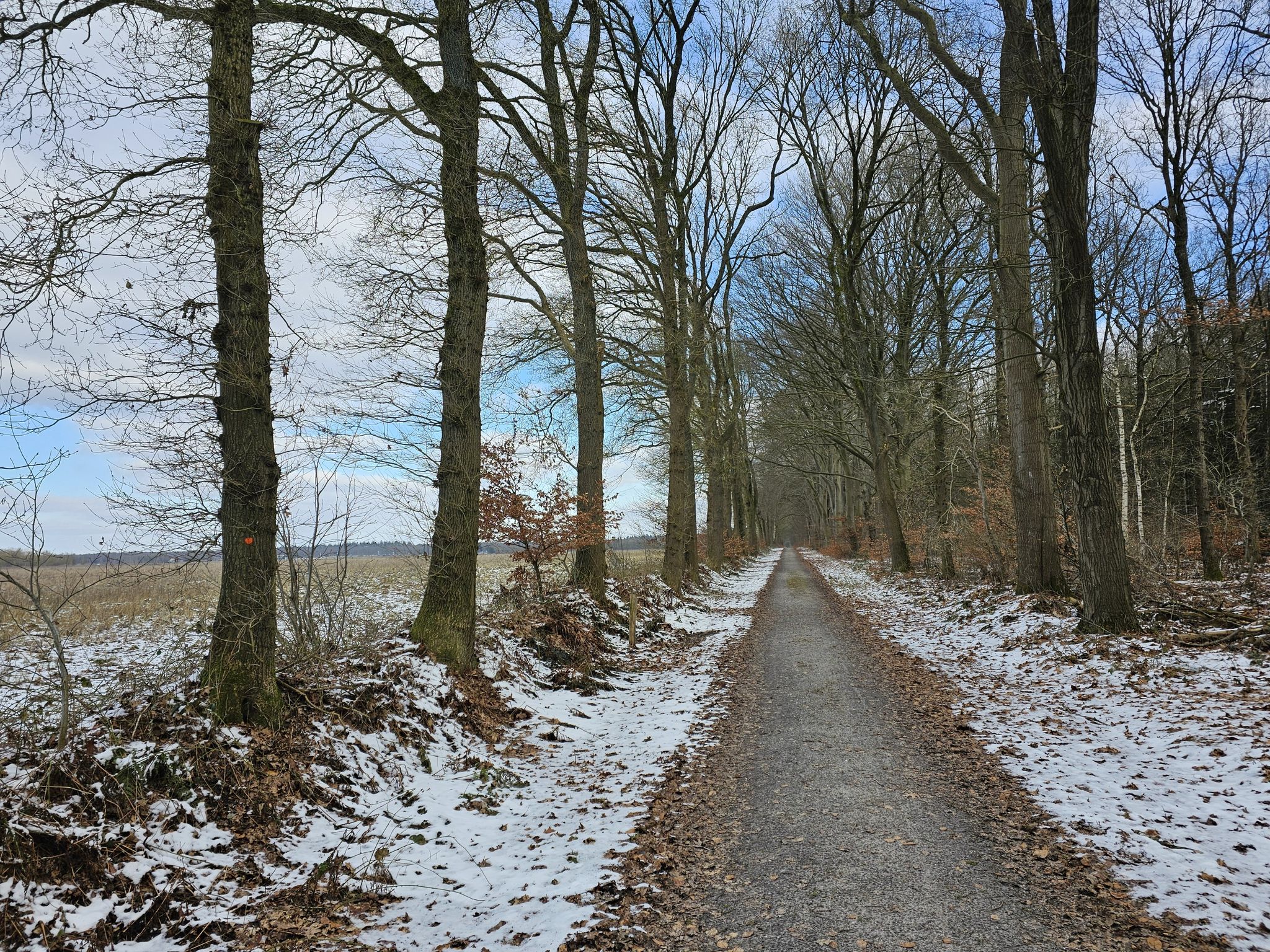 1.500 m rechtuit, bosrand