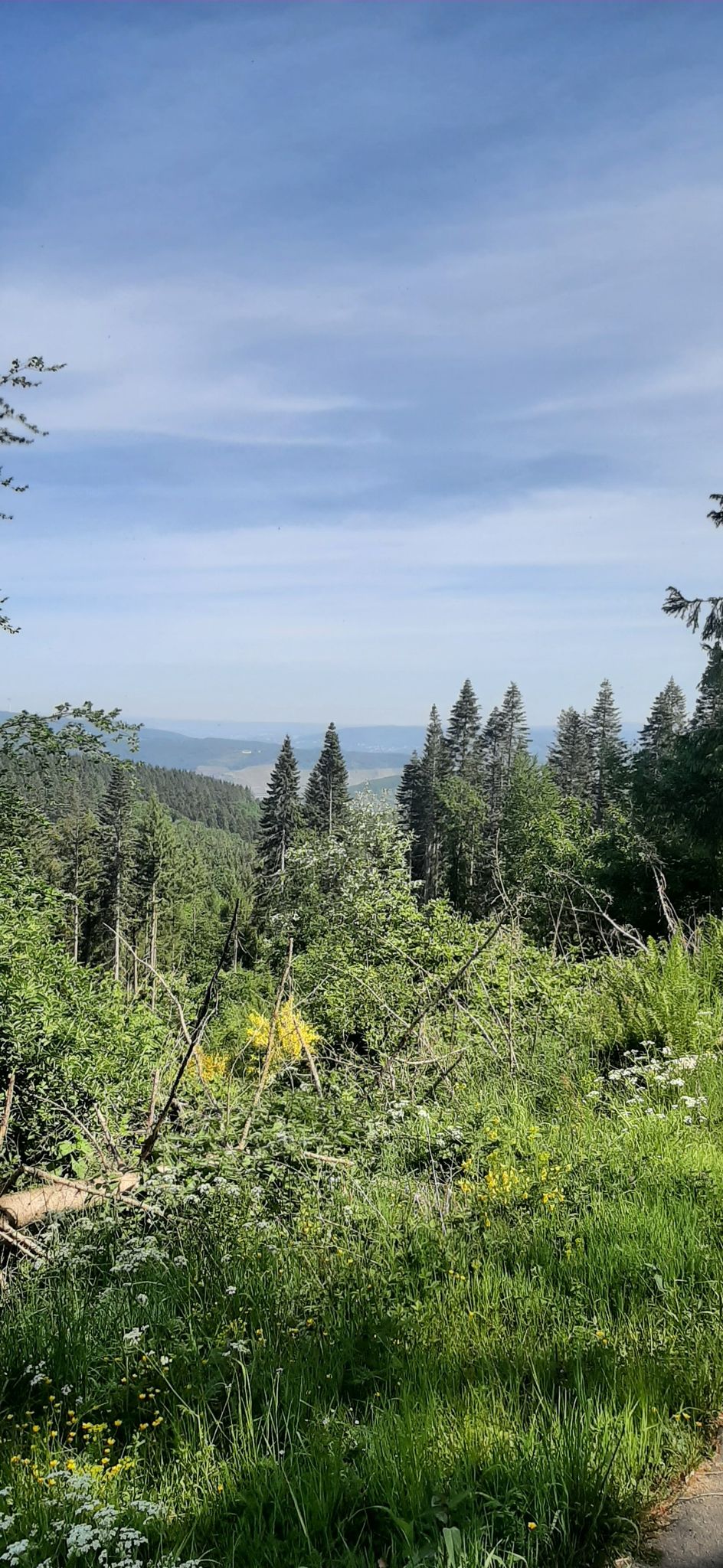 weit entfernt Jakobsberg