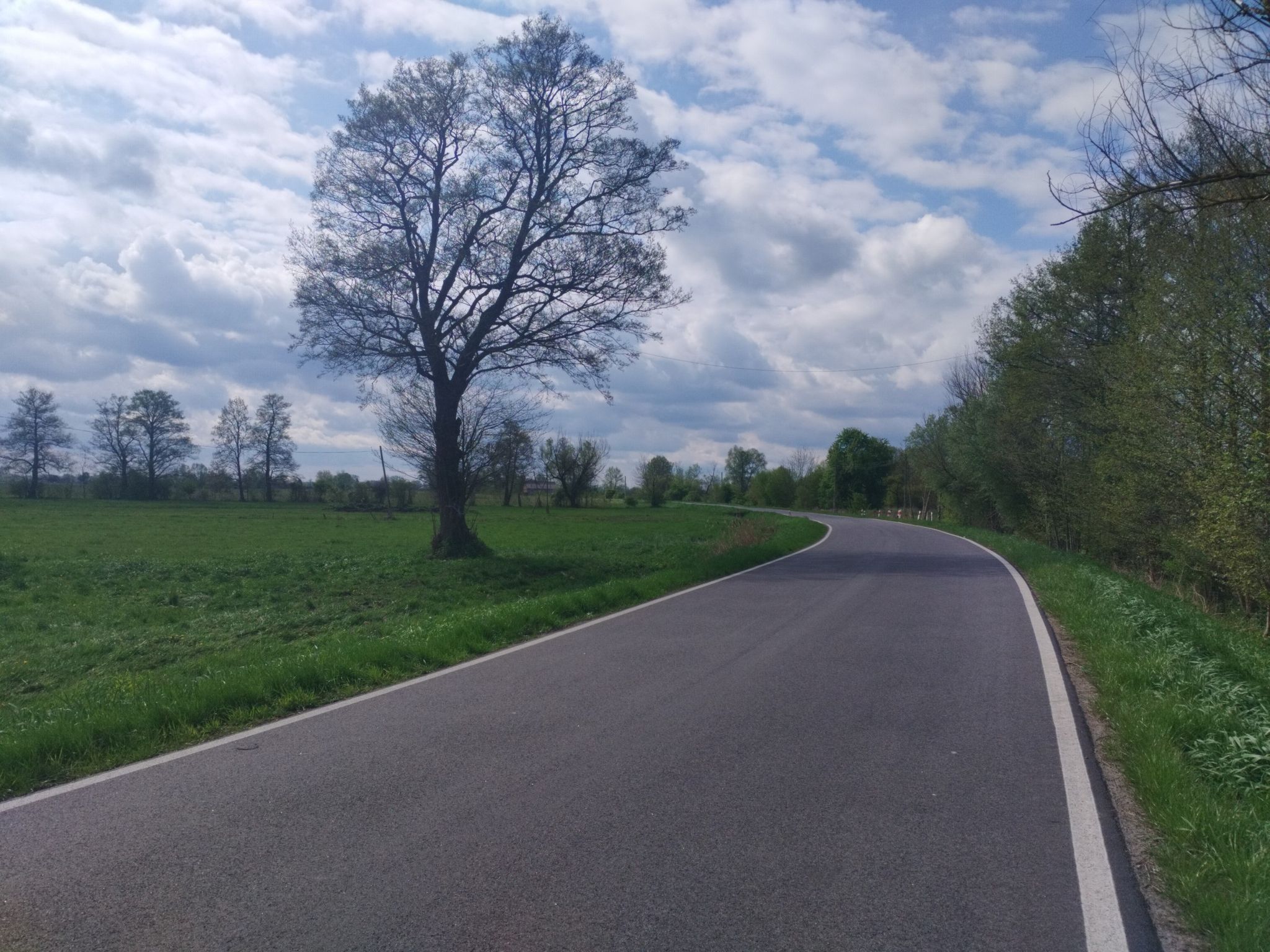 flache Landschaft Netzebruch