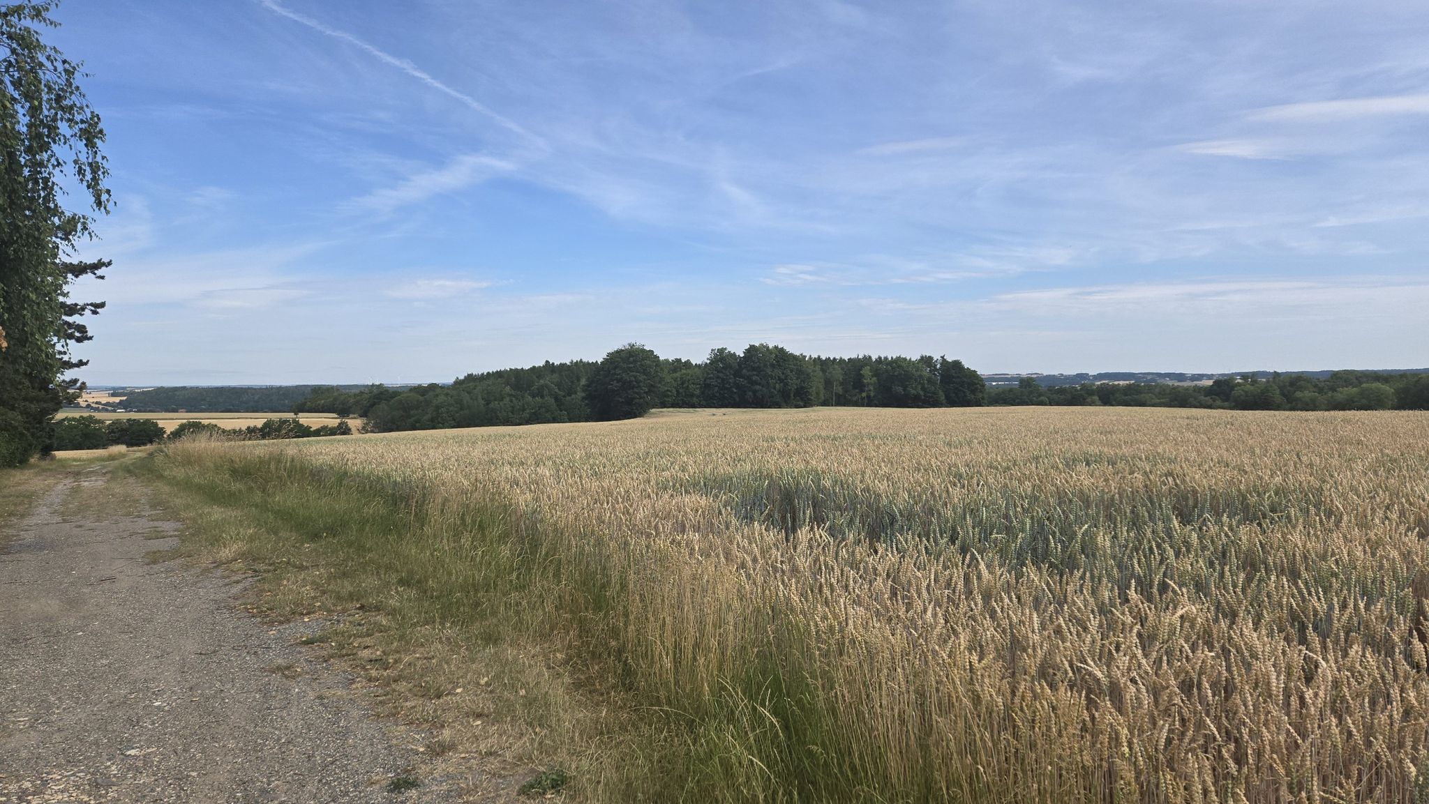 Blick nach Seelingstädt