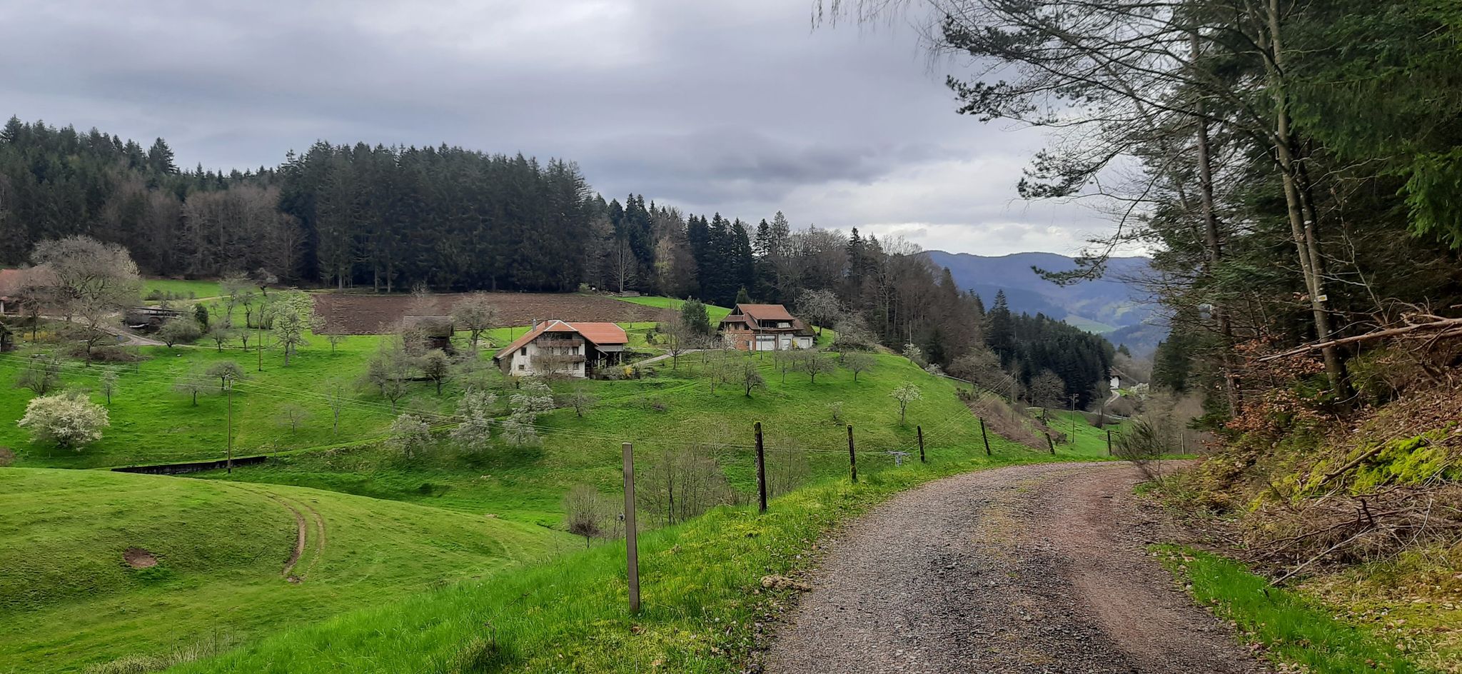 Steinmühlenweg; links Moserberg