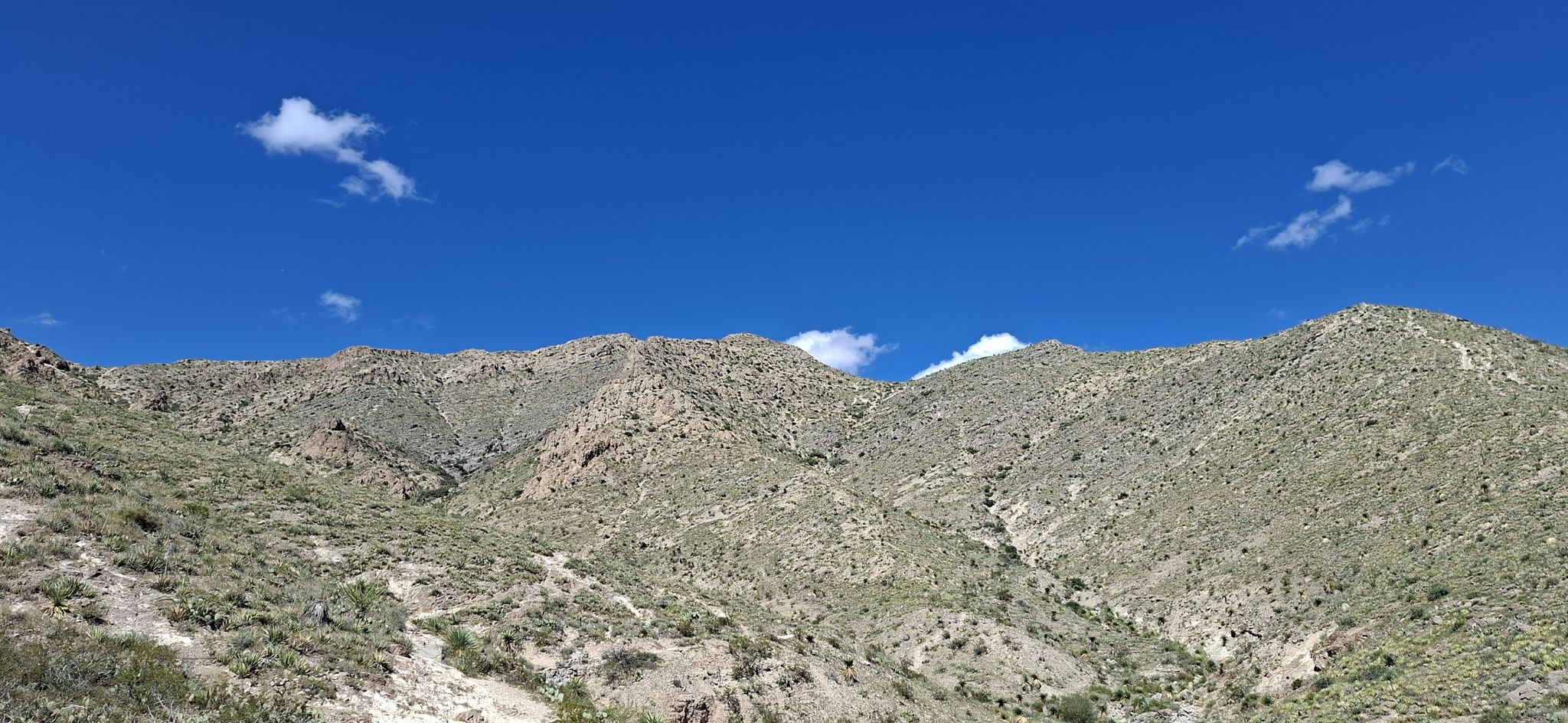 Rugged, green-tinged mountains under a bright blue sky with scattered white clouds. - Ron Coleman Trail from McKelligon Canyon