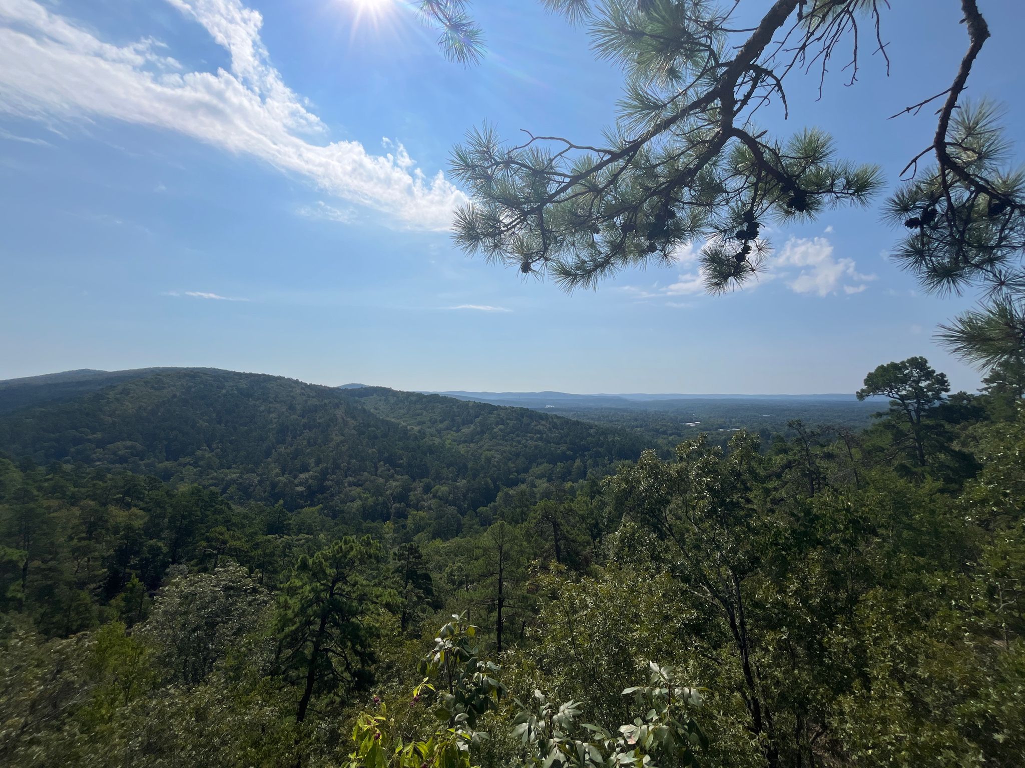 Sunny view of vast green forested hills under a blue sky. - Goat Rock Viewpoint loop from Hot Springs