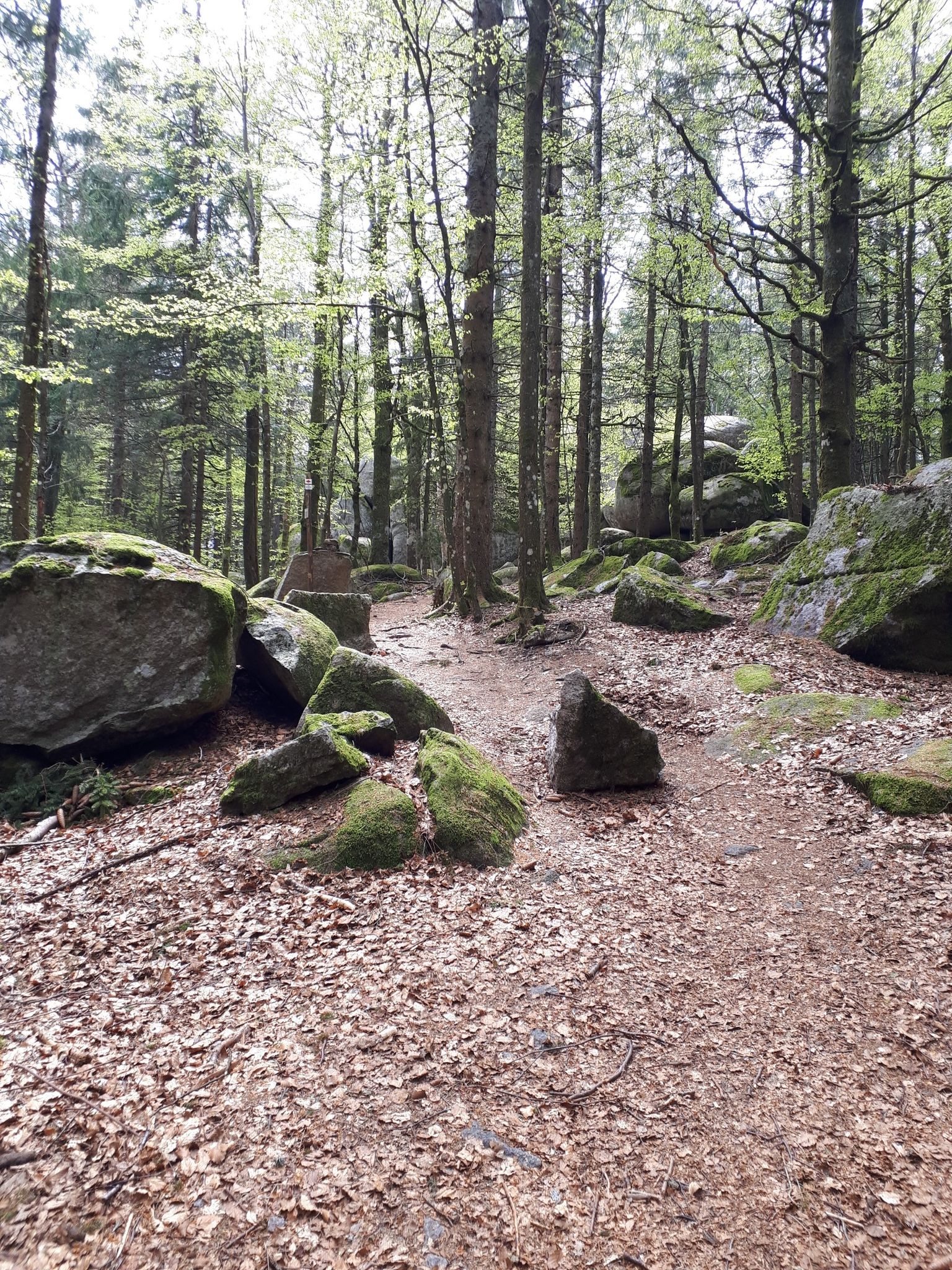 Güntherfelsen