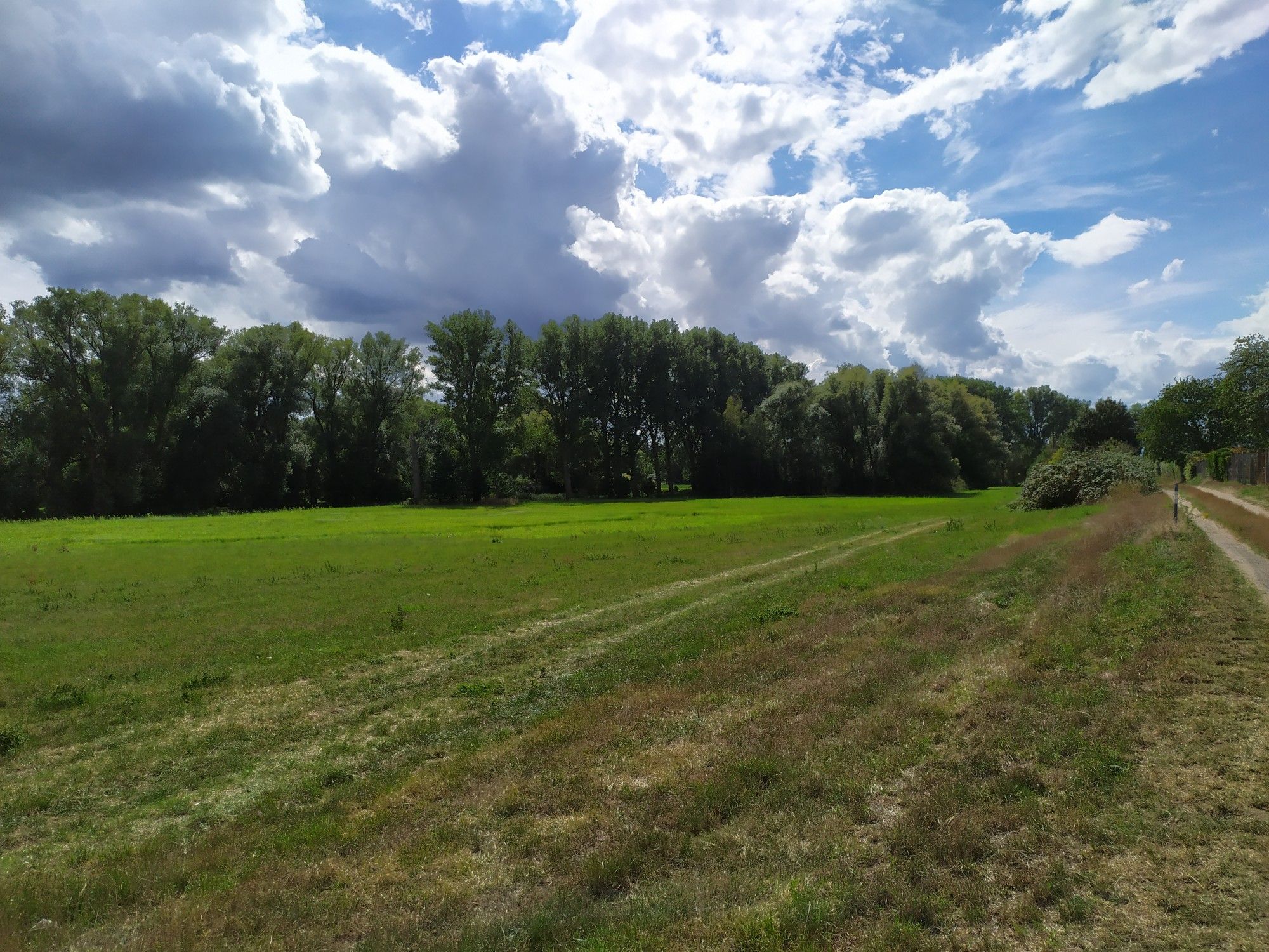 im Parthetal Richtung Taucha