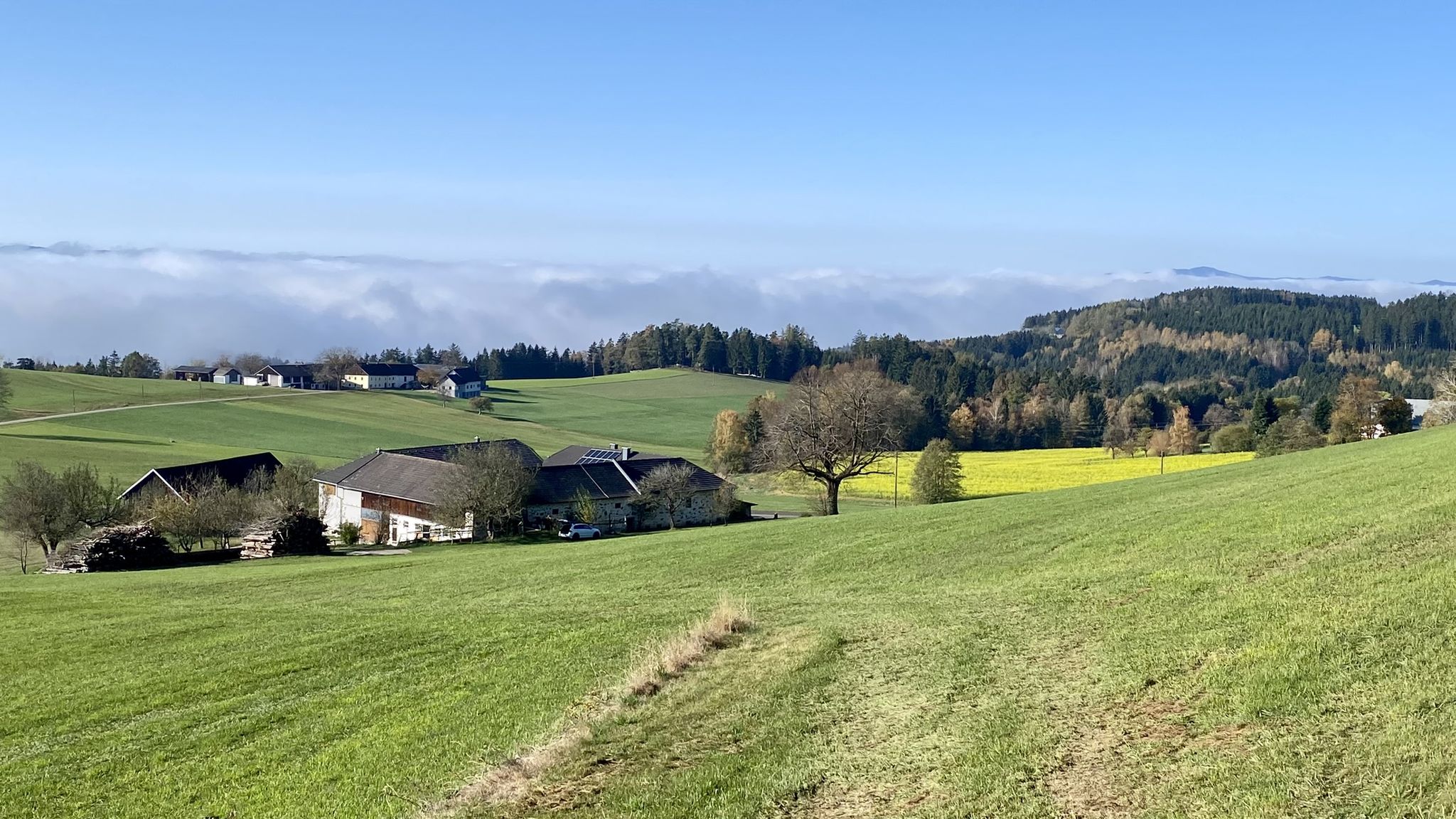 Nebel im Westen