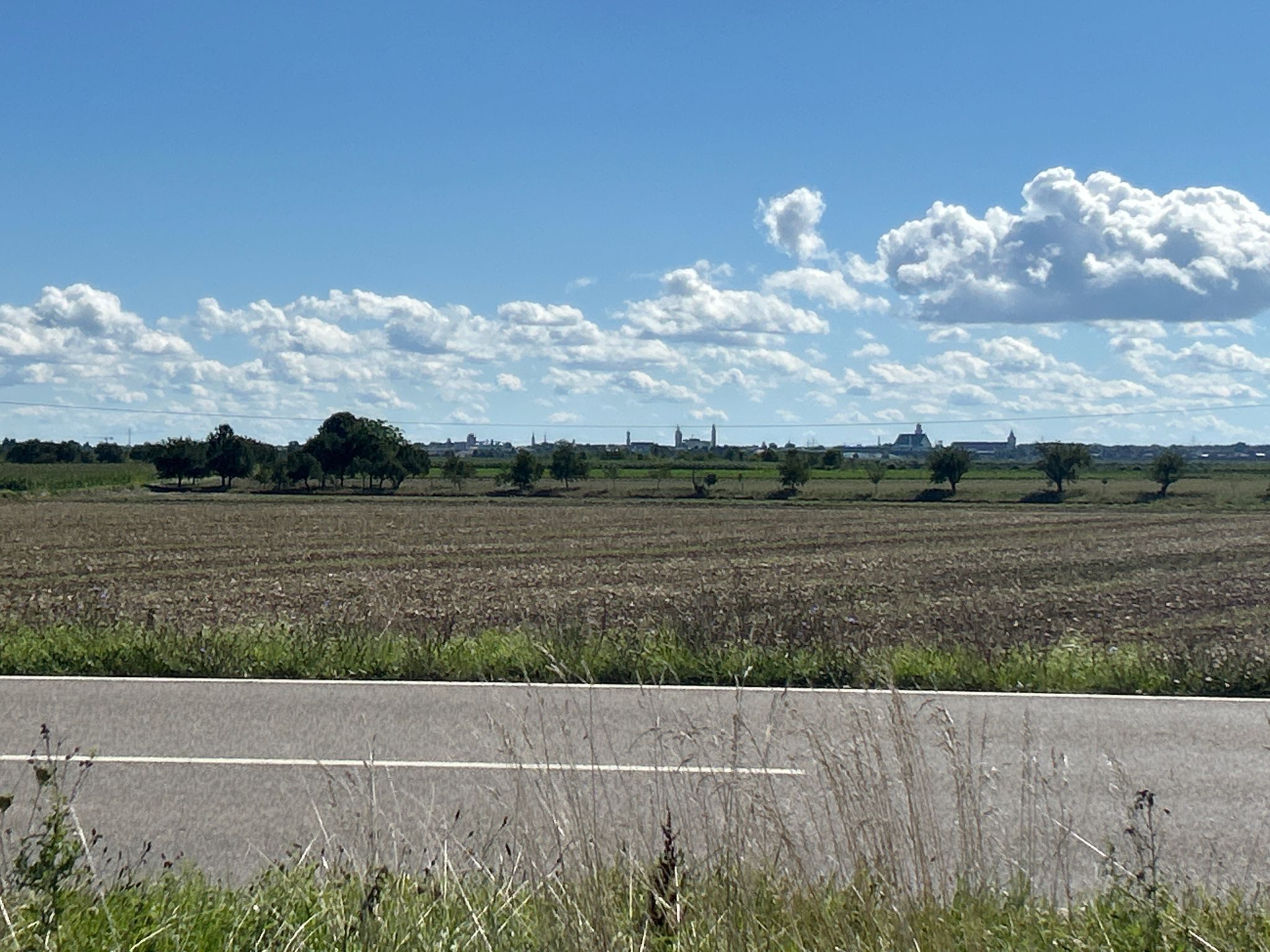 Aussicht über Lauingen