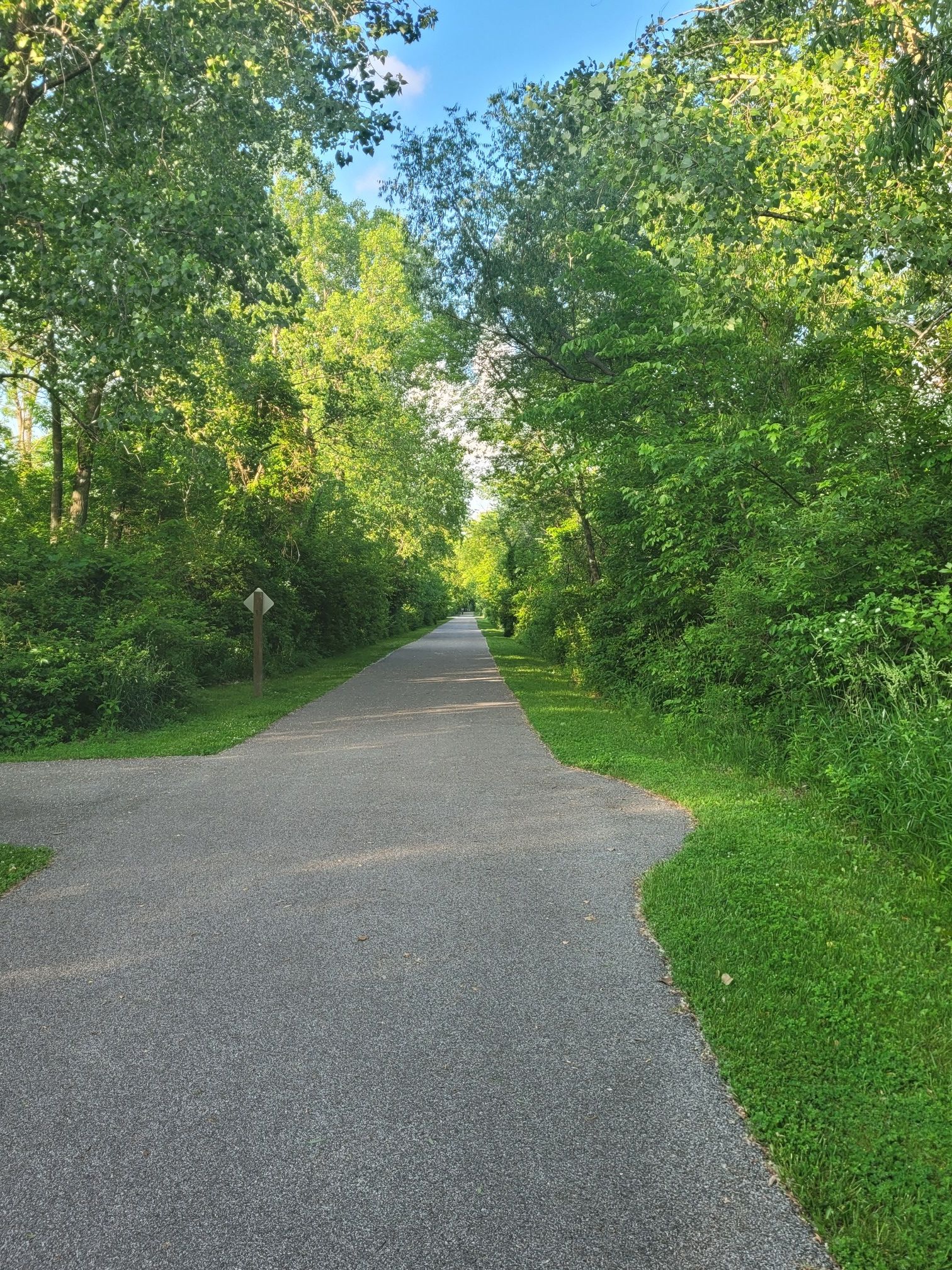Paved path through lush green trees on a bright sunny day. - Trailblazers Bike Barn loop from Chesterton High School
