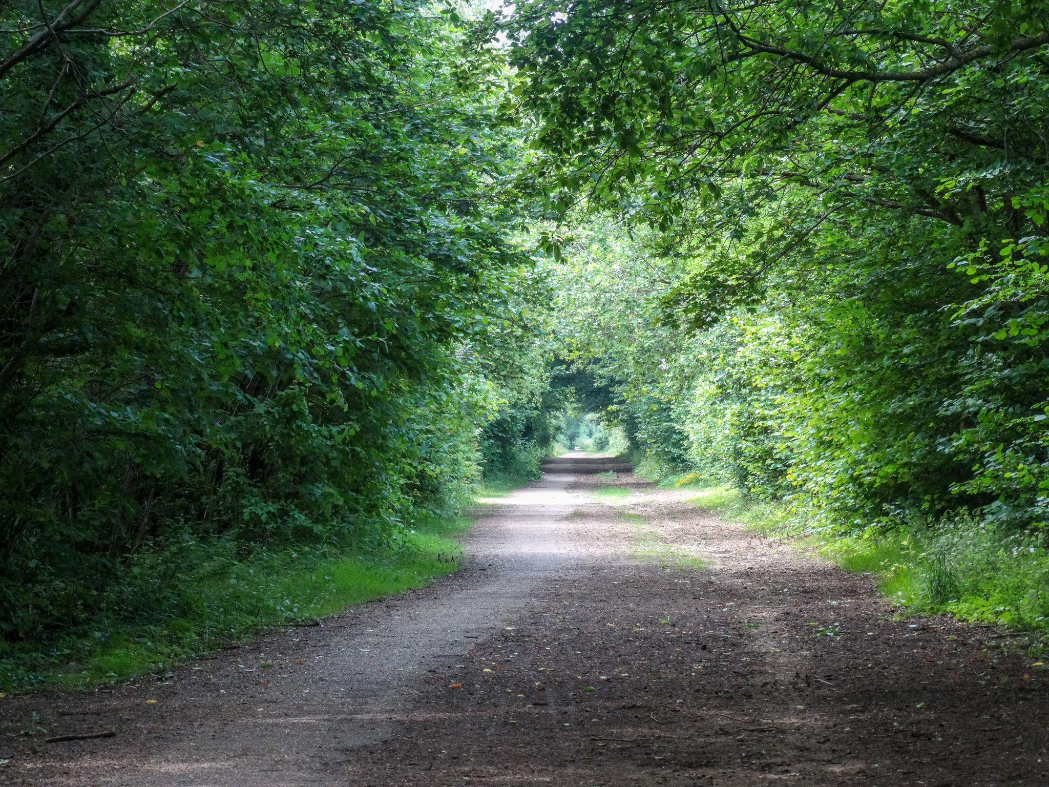 Sewell Greenway