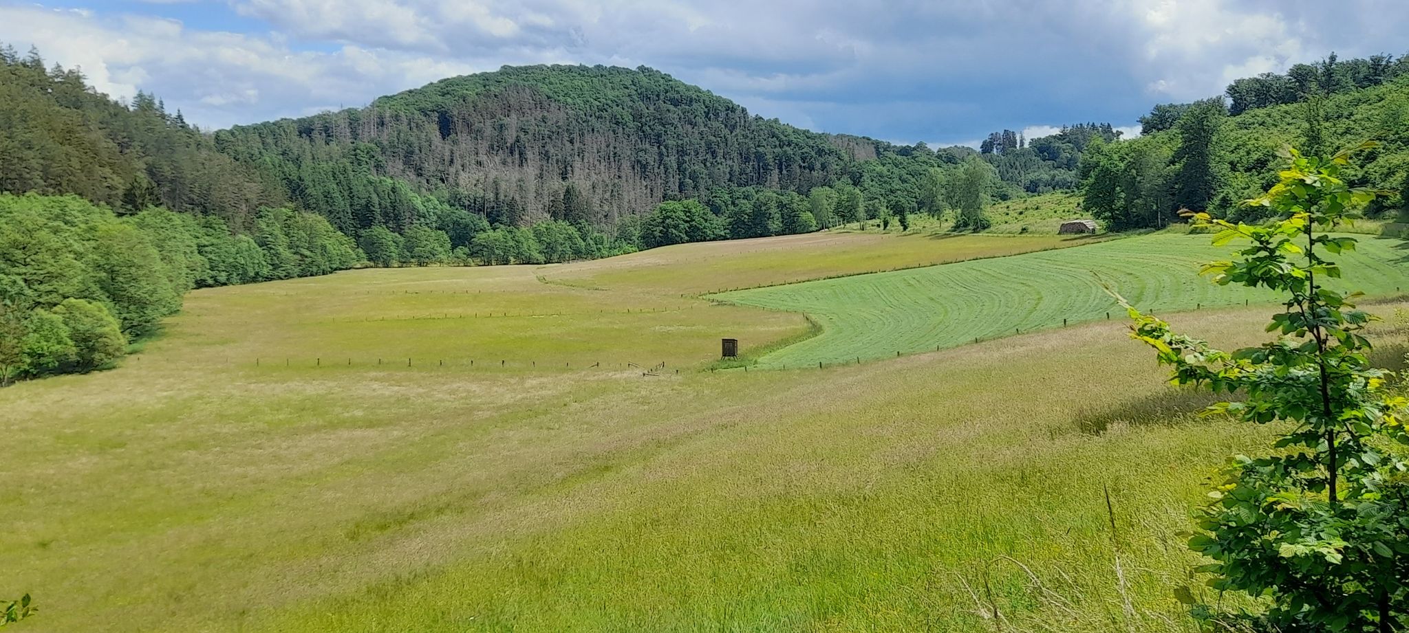 Diemeltal
