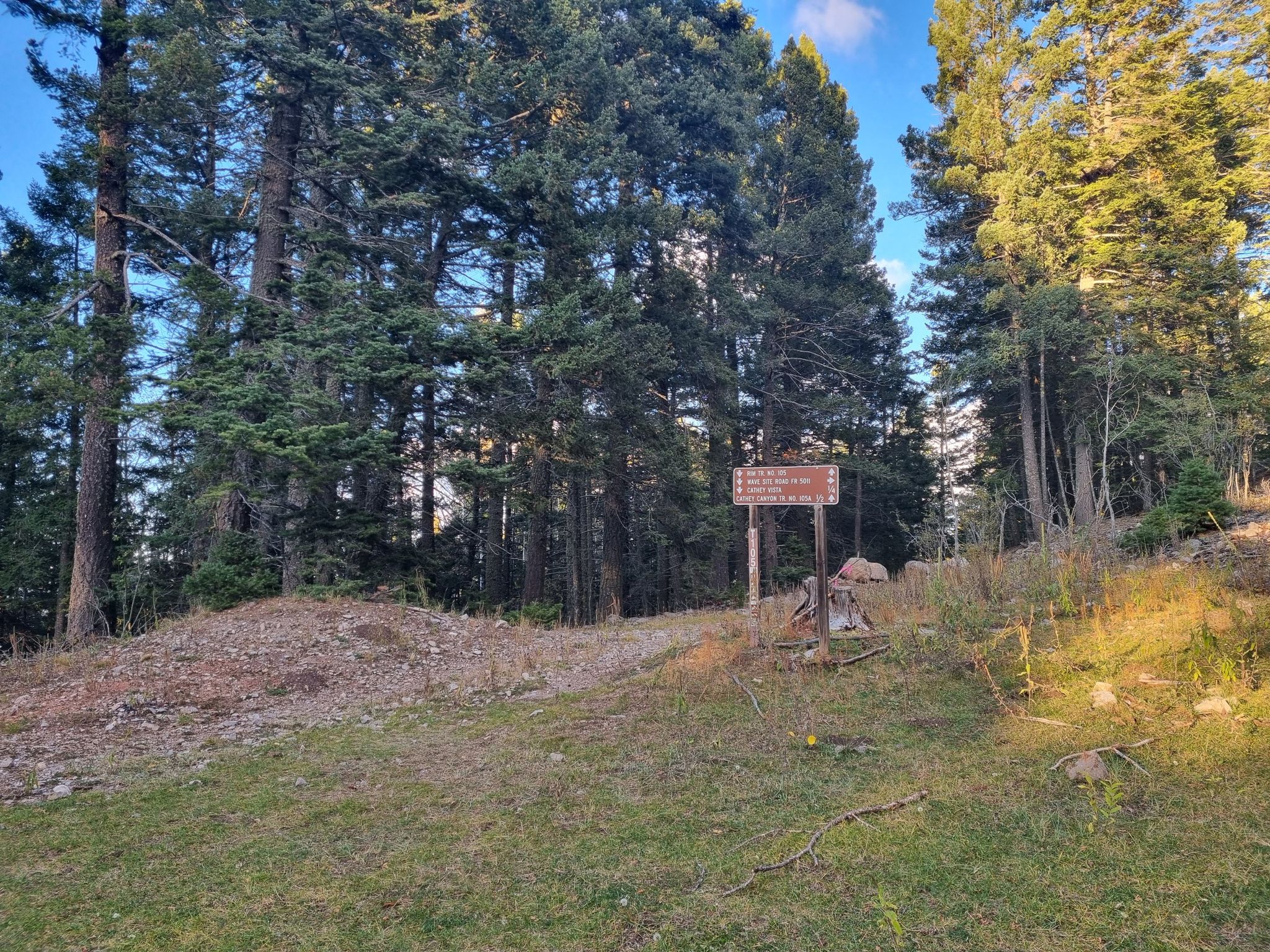 Wooden trail sign in a grassy clearing surrounded by tall pine trees. - Rim Trail (T105)