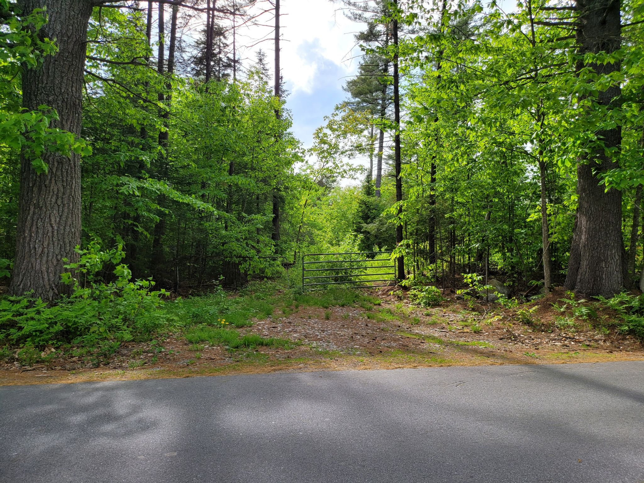 A metal gate blocks a sunlit dirt path leading into a dense green forest. - Kezar, Little Sunapee, and Pleasant Lake loop