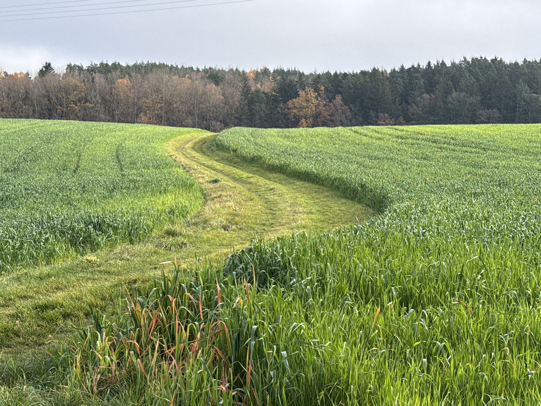 Hier stehen die Wiesen noch in sattem Grün