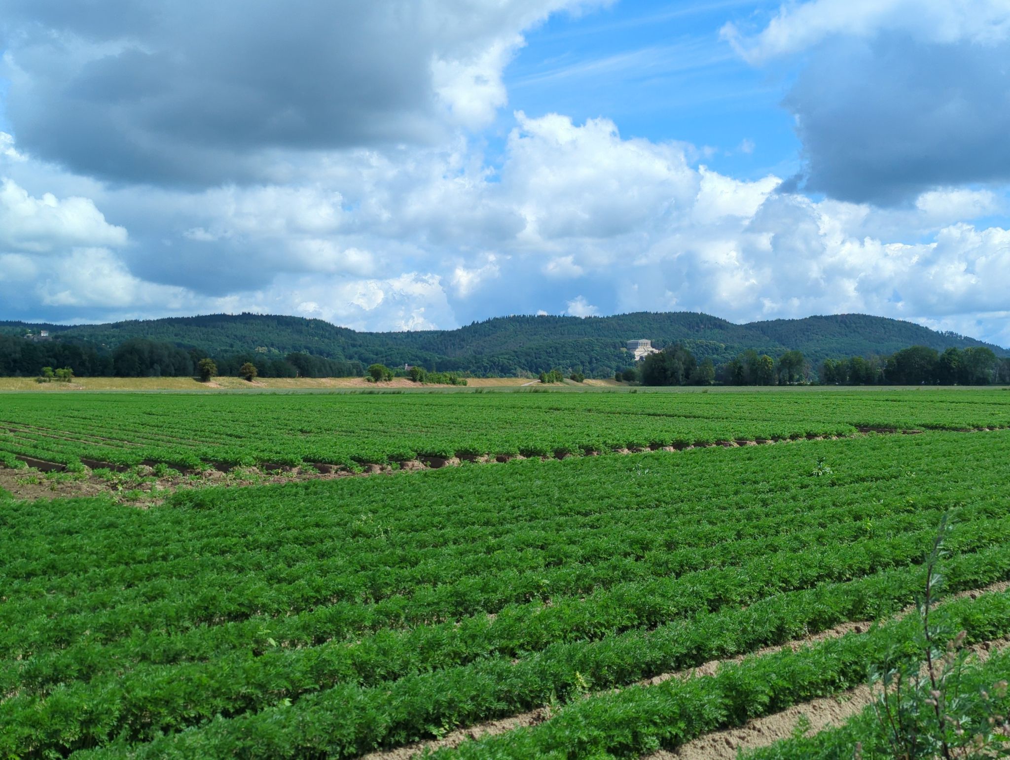 am Blick auf die Walhalla führt kein Weg vorbei