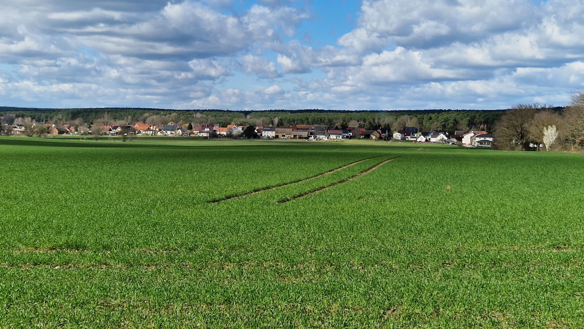 Blick nach Mochau