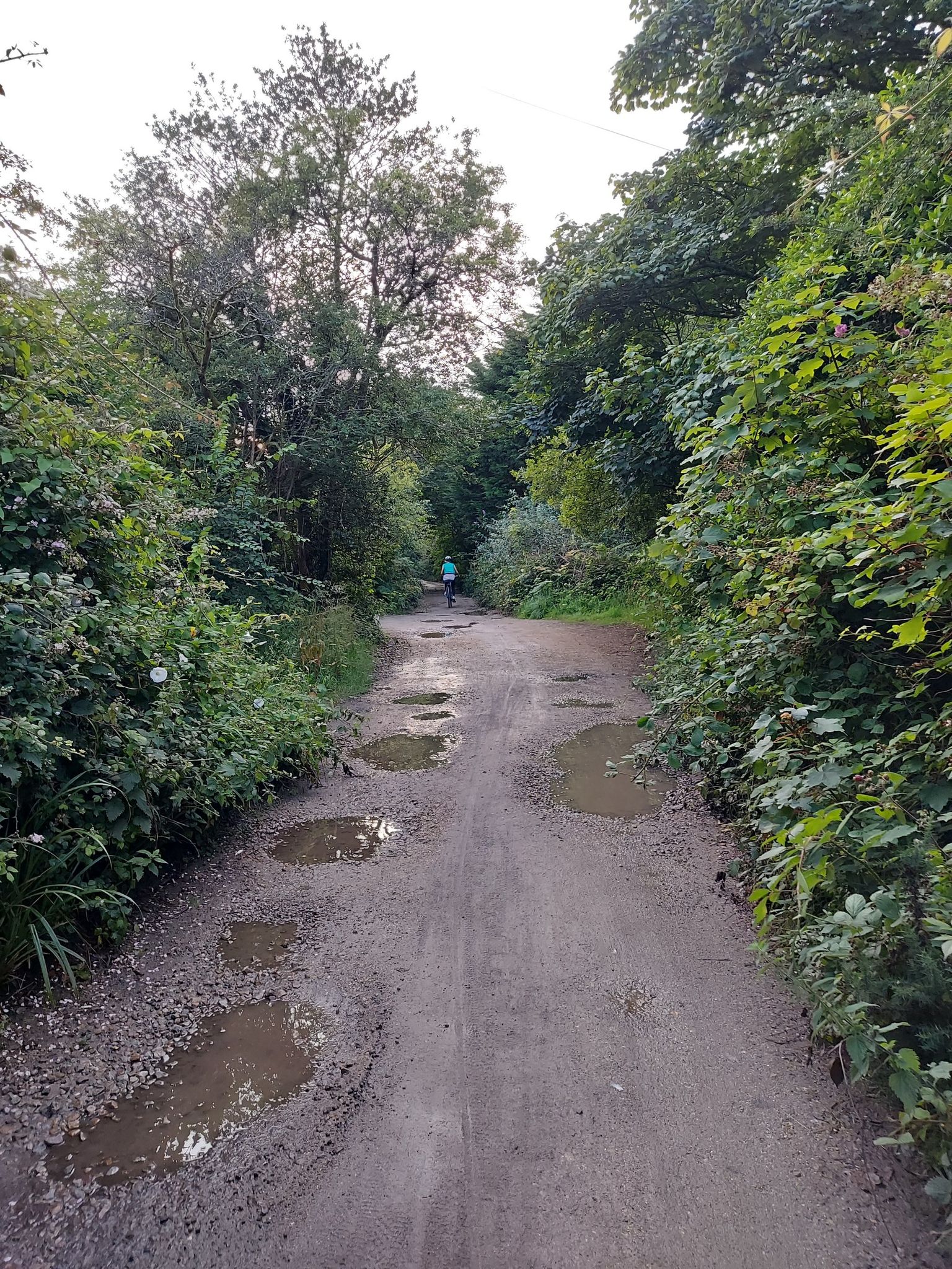 Cycle trail