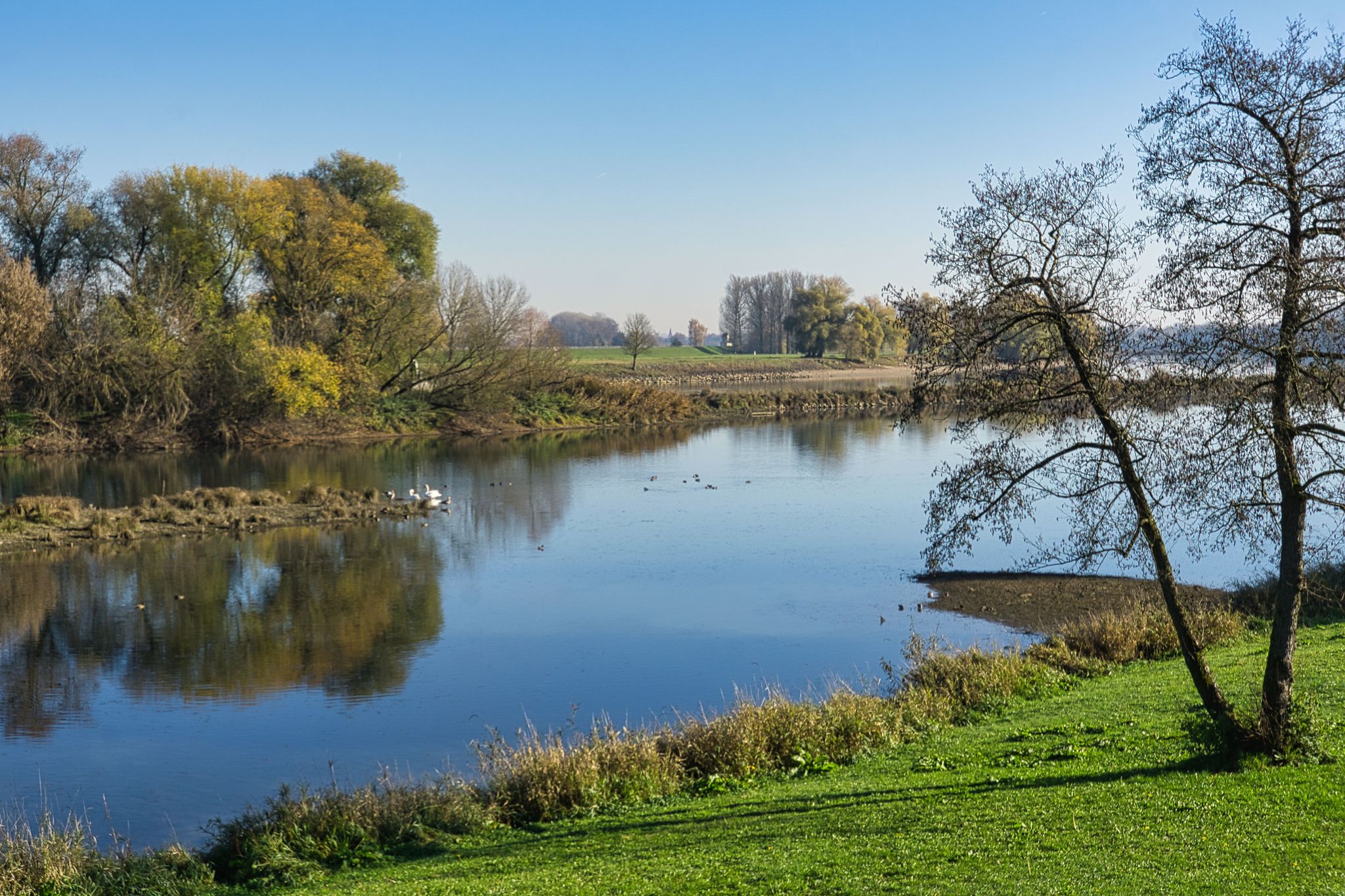 die Donau bei Irlbach
