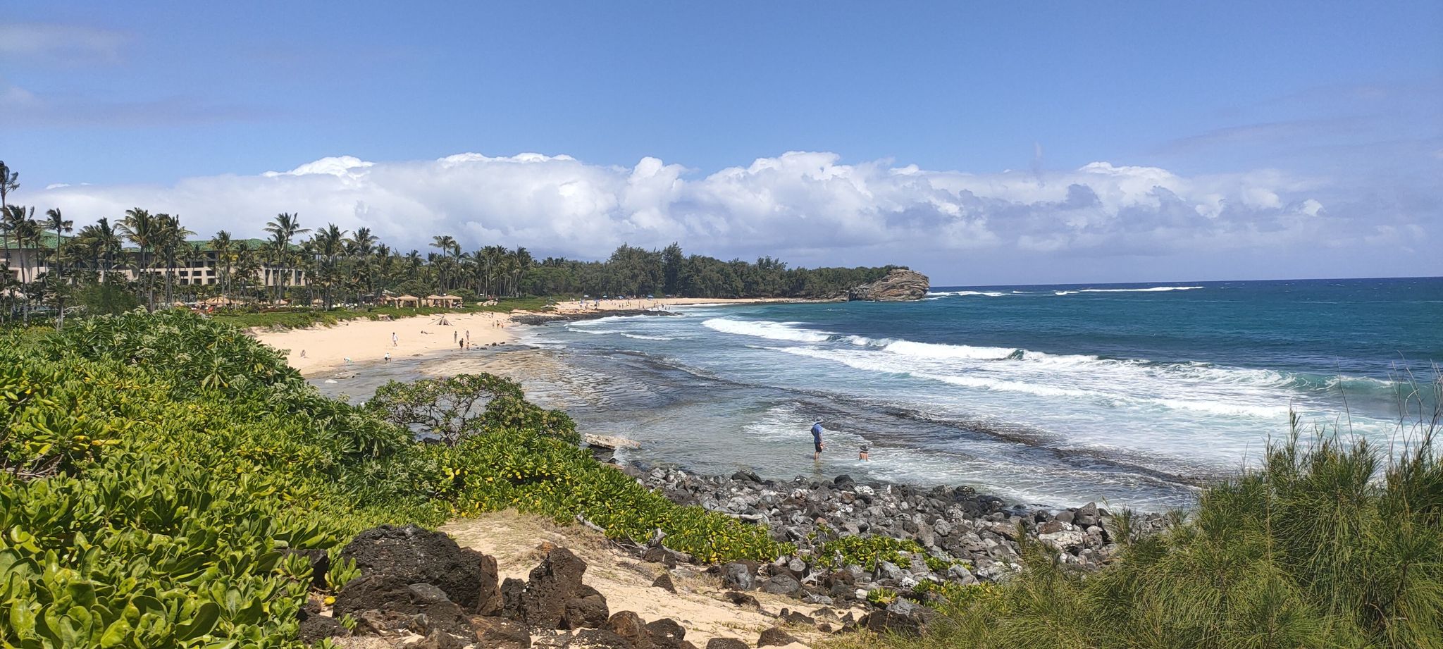 Sunny tropical beach with crashing waves, green foliage, and distant buildings. - Koloa Heritage Trail