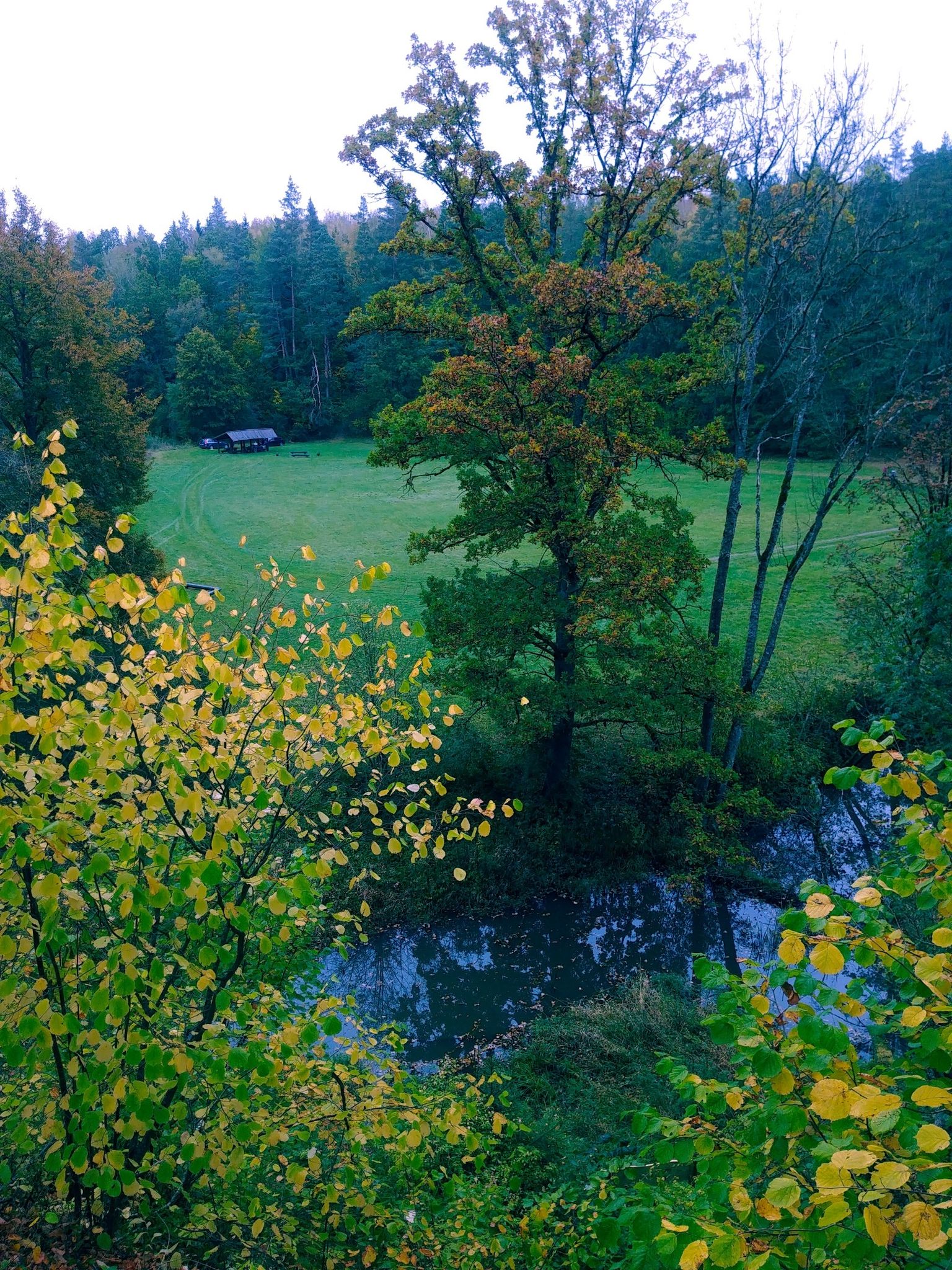 Zaķu pļava