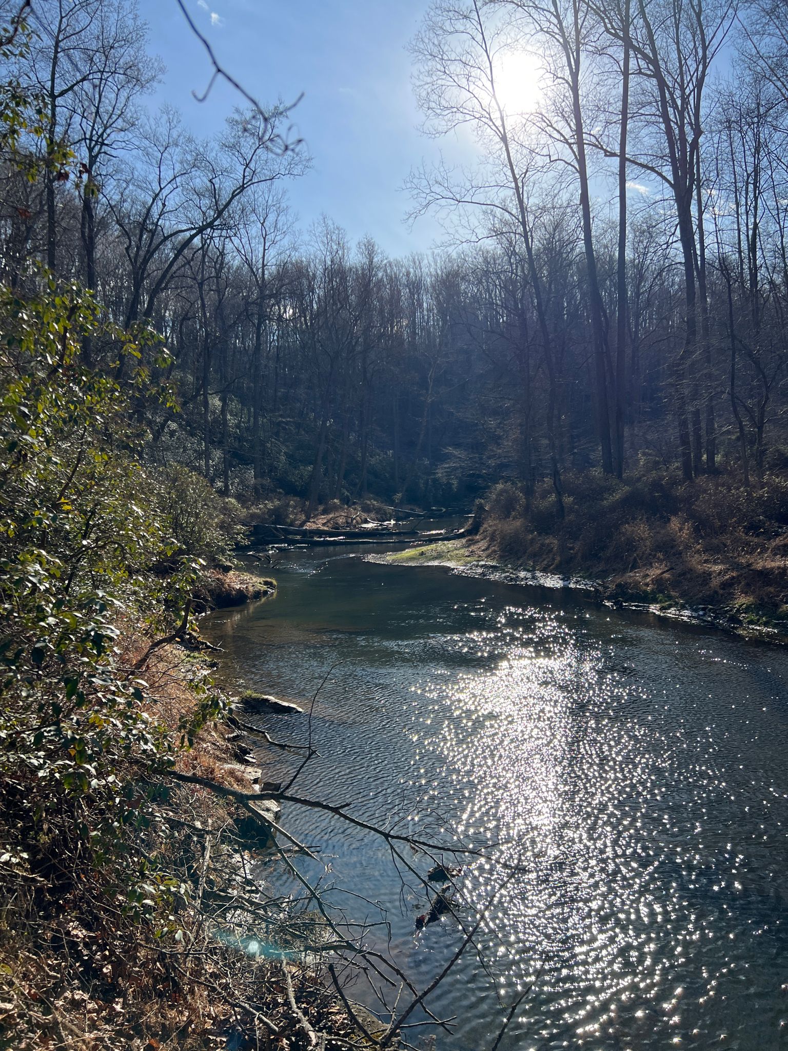 A sunlit river flows through a dense, bare winter forest. - Panther, Sandy, and Gunpowder North Trail Loop