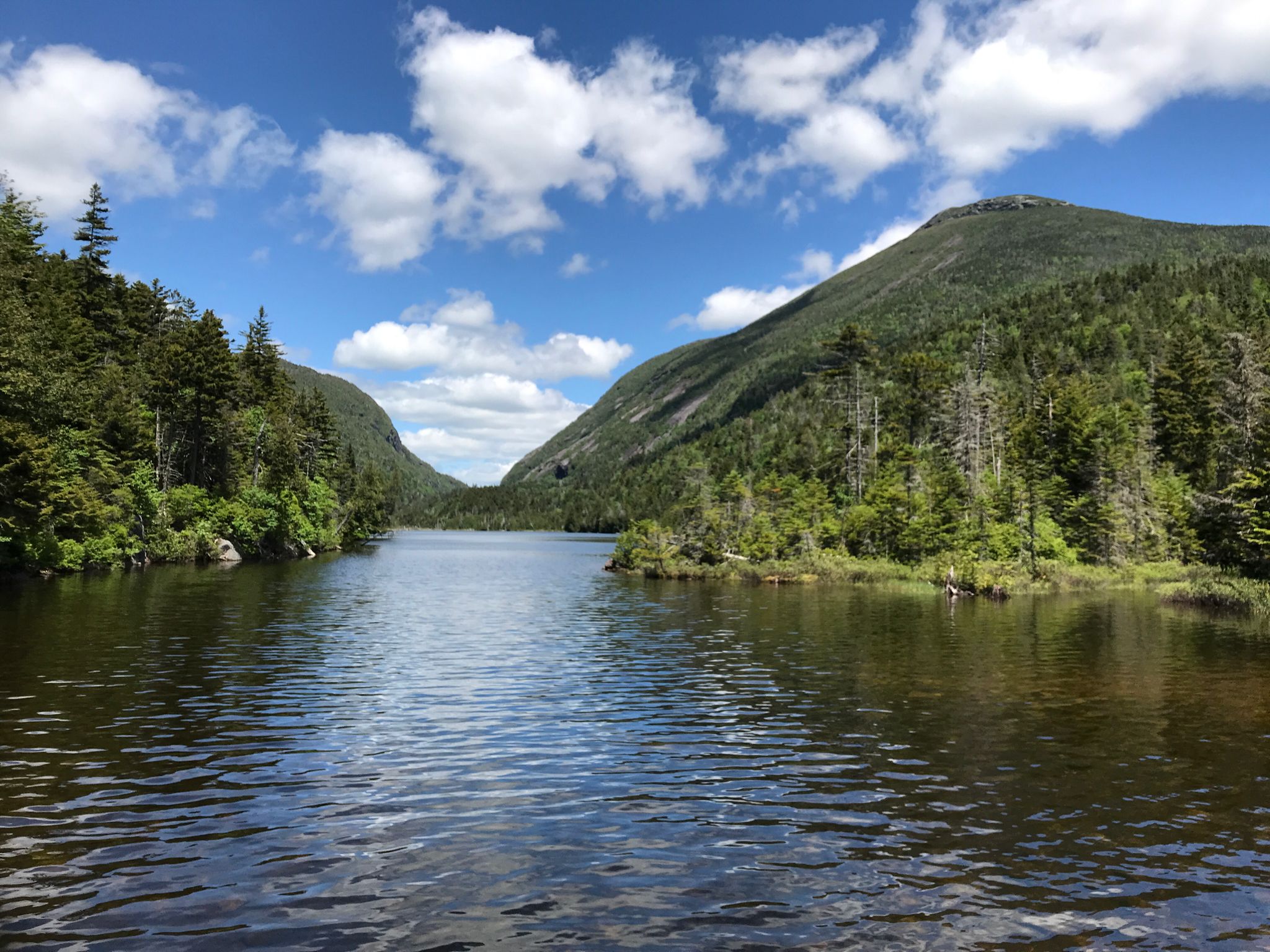 A serene lake surrounded by lush green mountains under a blue sky. - Algonquin and Skylight Trail