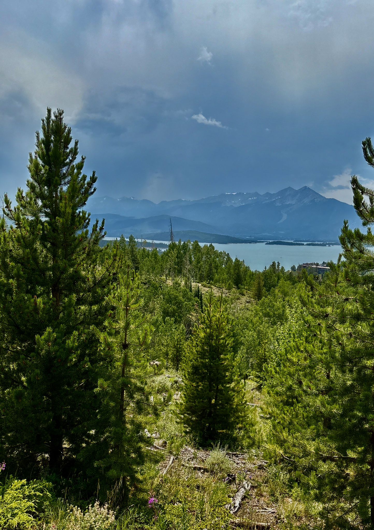 Pine trees frame a lake and distant mountains under a cloudy sky. - Oro Grande Trail