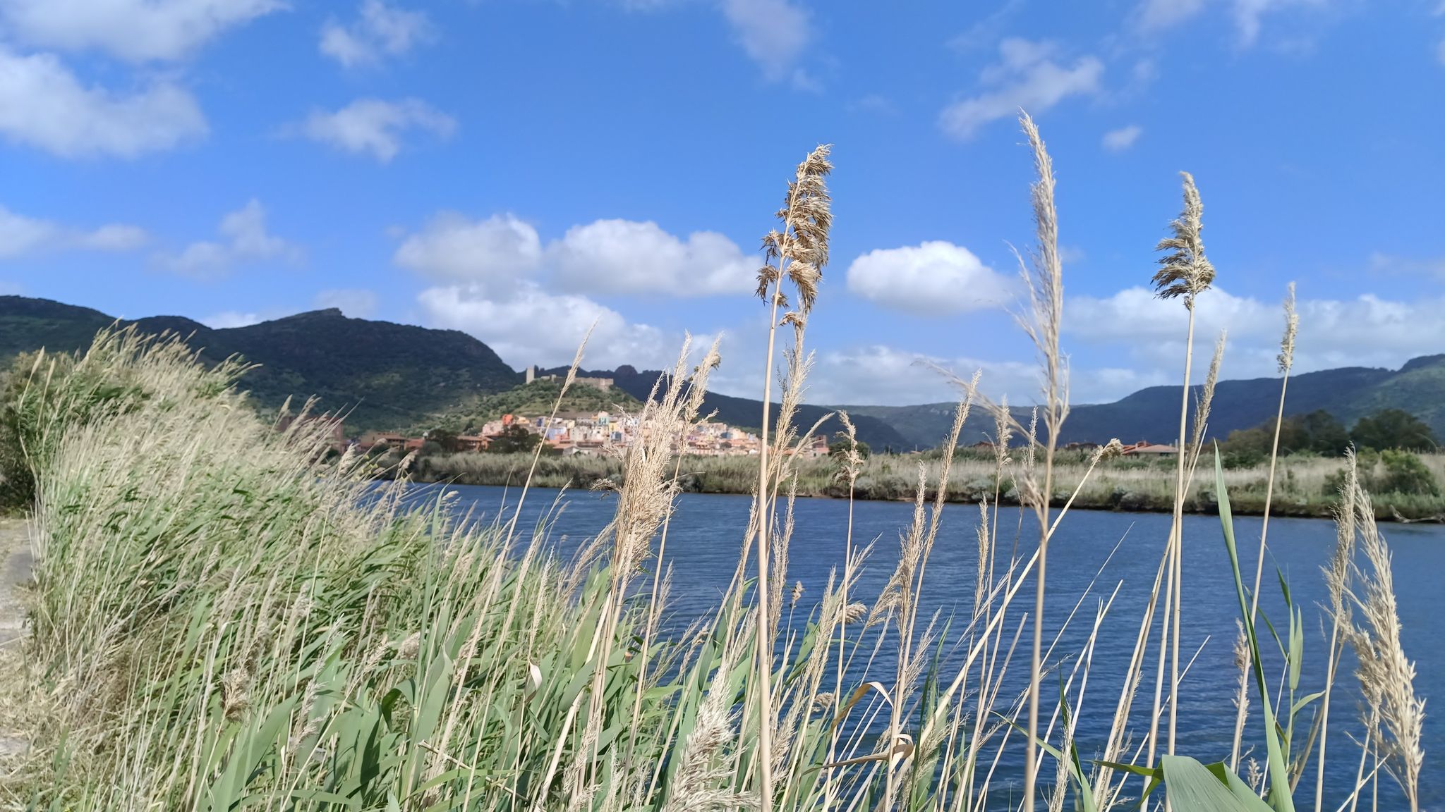 Bosa