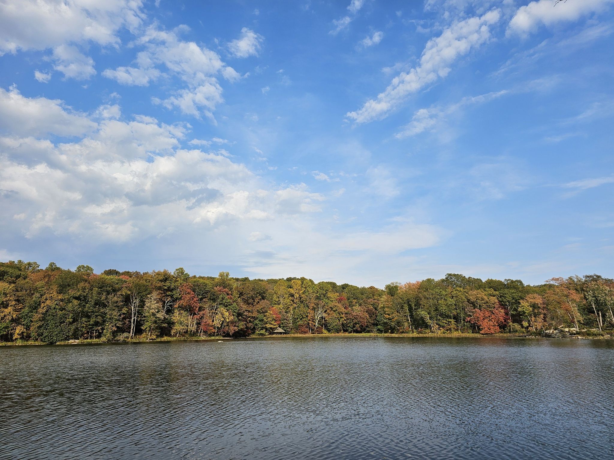 Calm lake reflecting a vibrant autumn forest under a bright blue sky. - Briarcliff-Peekskill Trailway and Three Lakes Loop