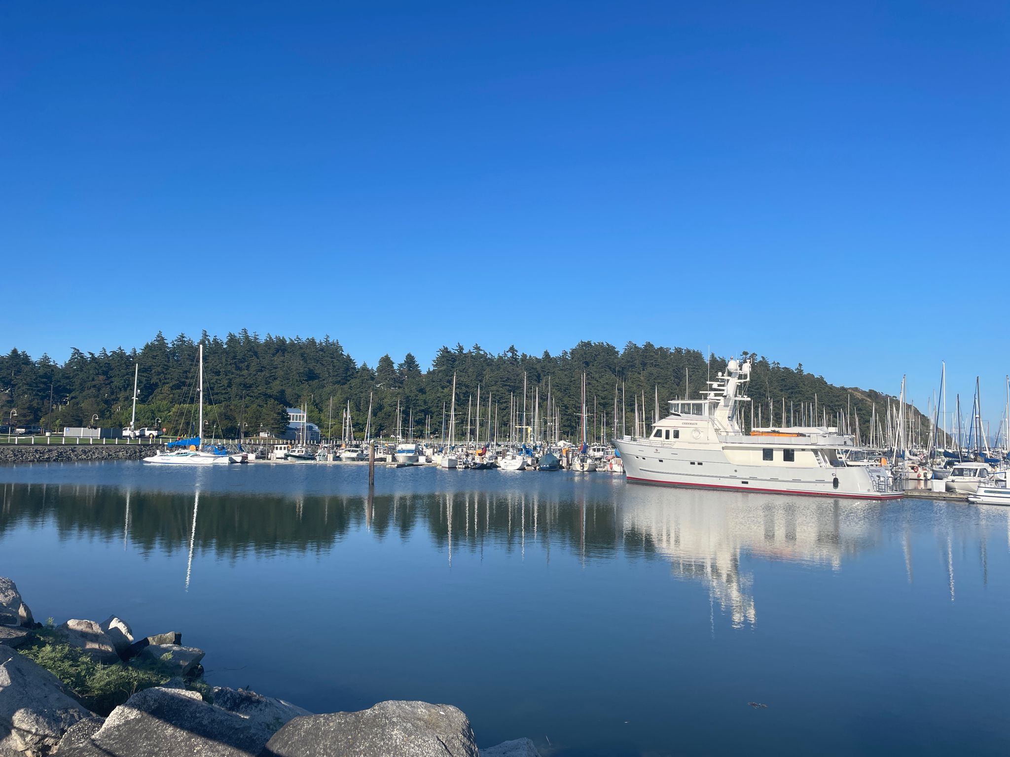 Marina with many boats and a large white yacht under a clear blue sky. - Cranberry Lake & Cap Sante Park loop