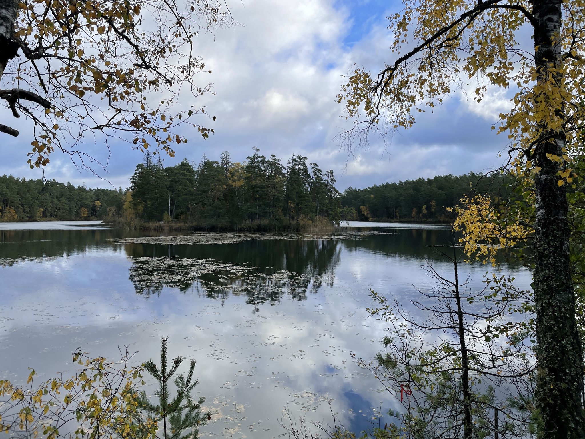 Holmsjön
