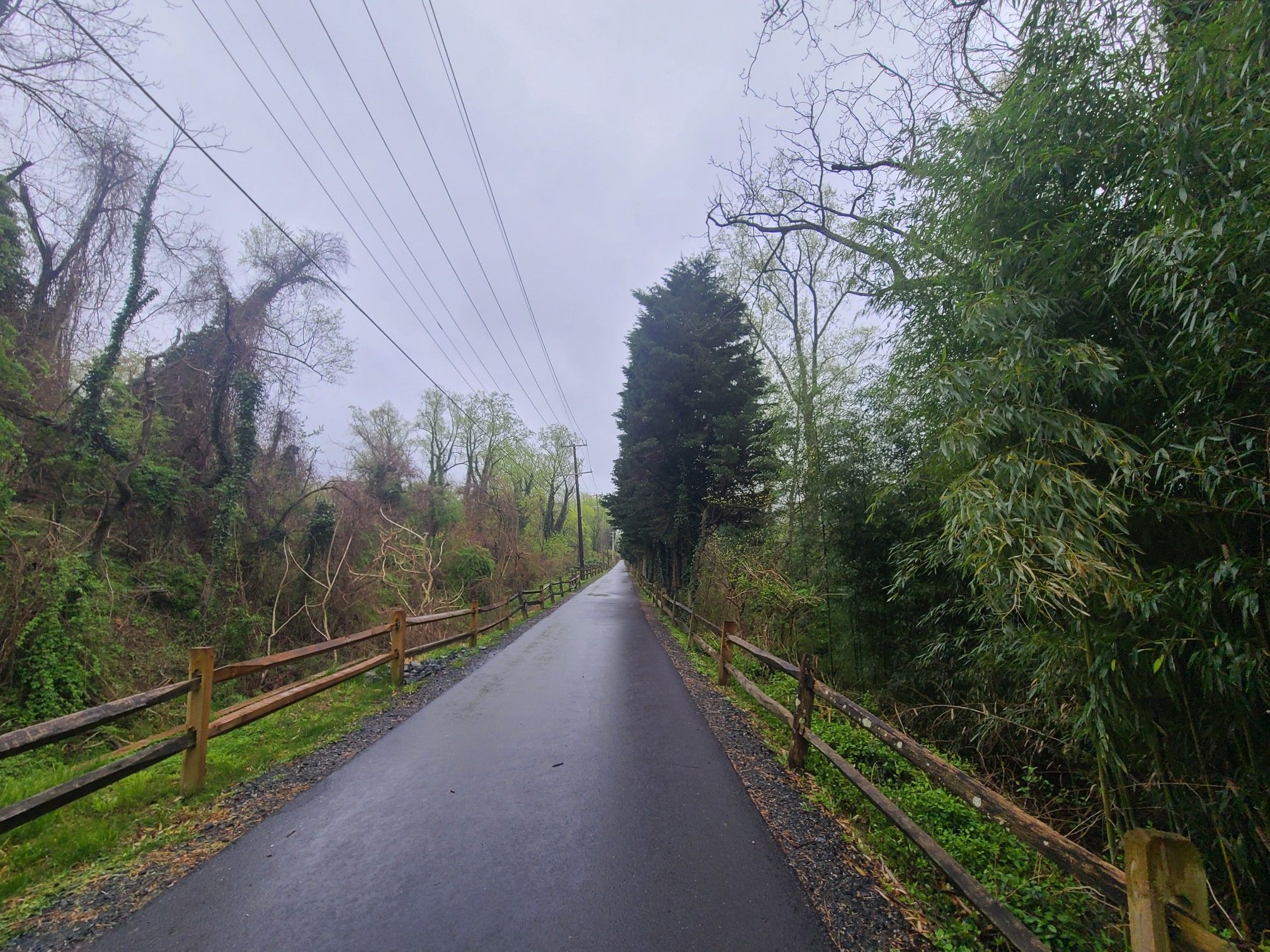 Wet paved path through a wooded area with a wooden fence and overcast sky. - Baltimore & Annapolis Trail – B&A Trail loop from Baltimore & Annapolis Trail Parking