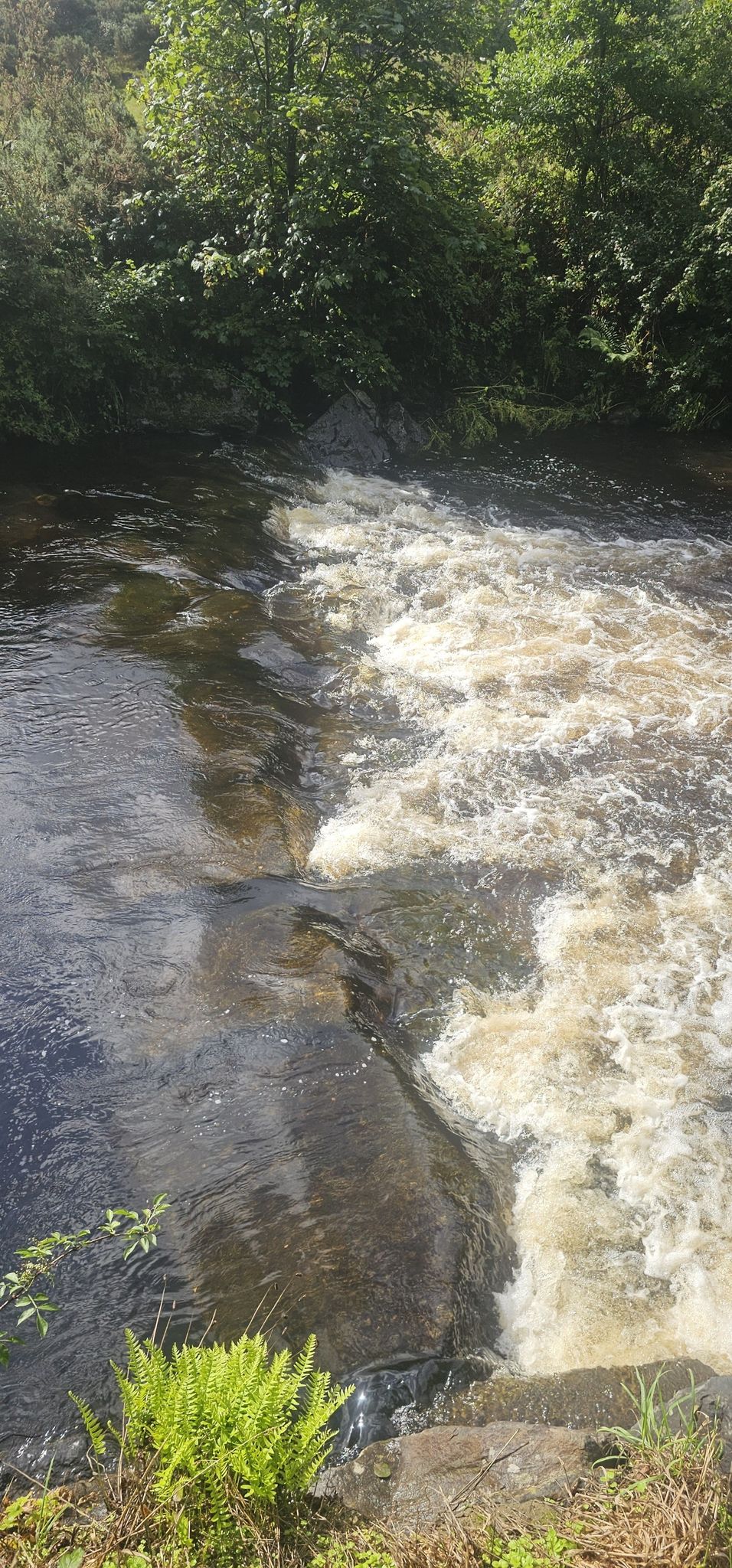 Stromschnelle in der Nähe von Glanamman