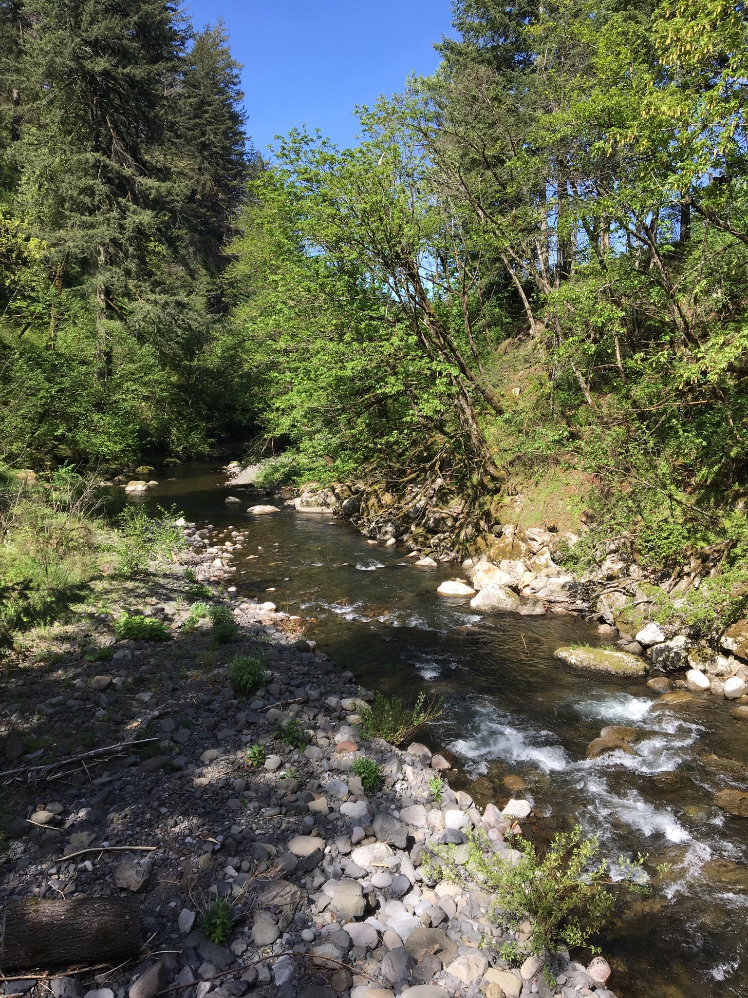 Tanner Creek